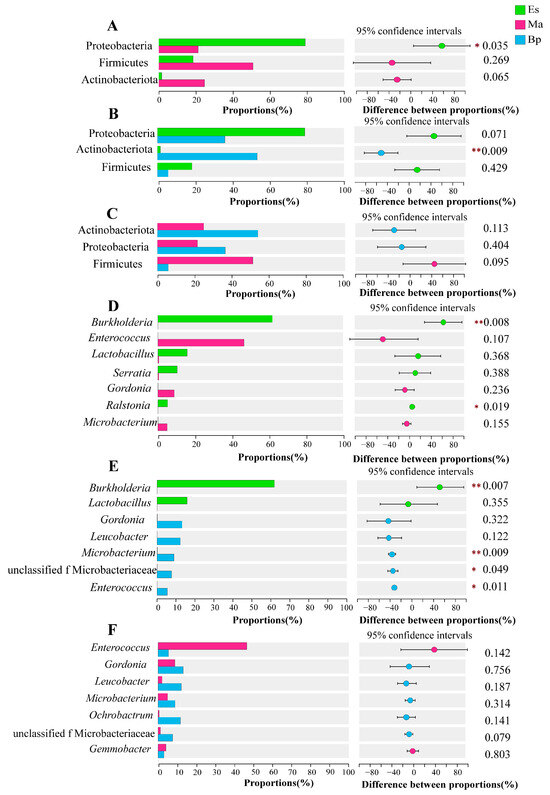 The Correlation between the Gut Microbiota of Endoclita