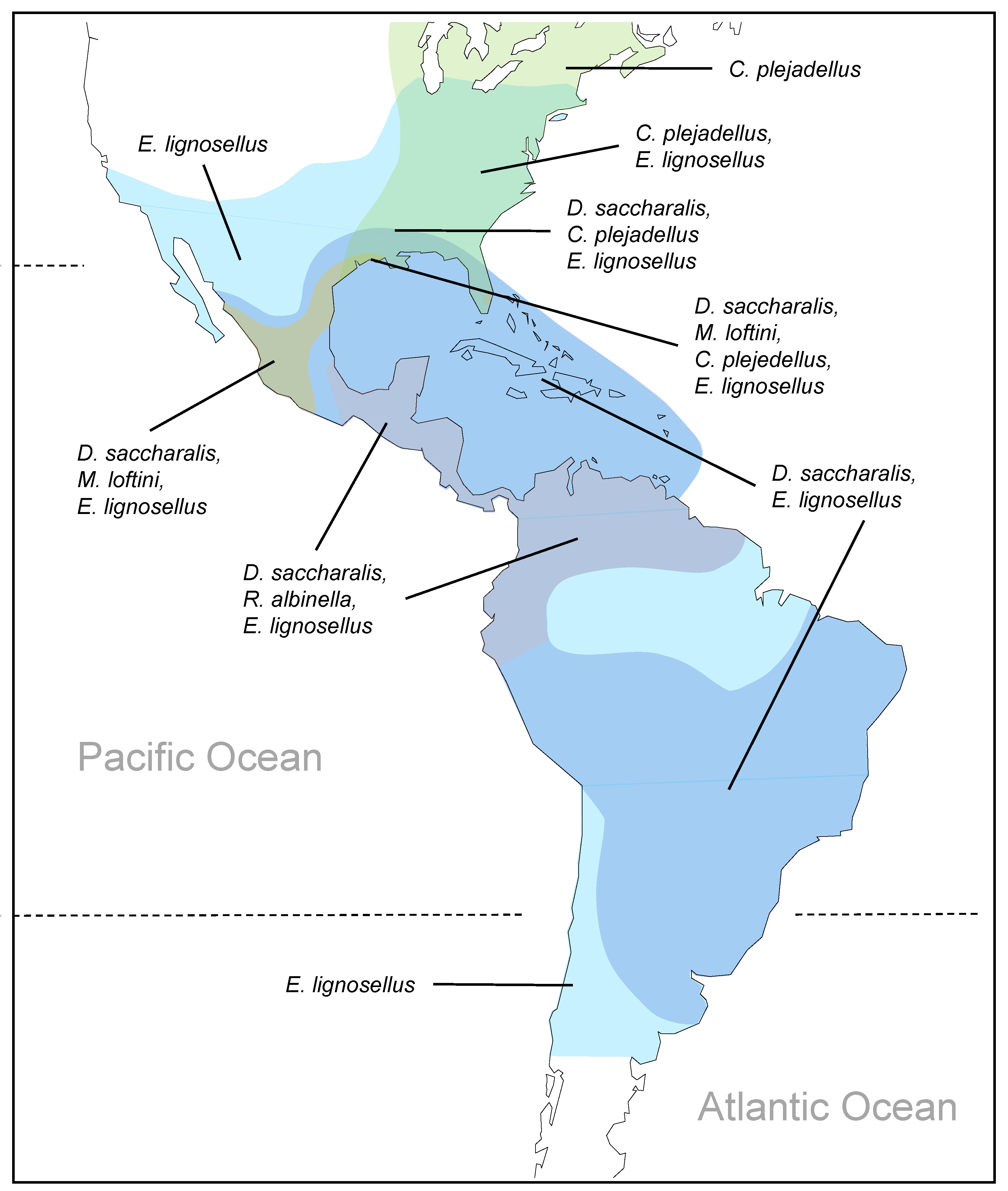 Insects 14 00921 g003