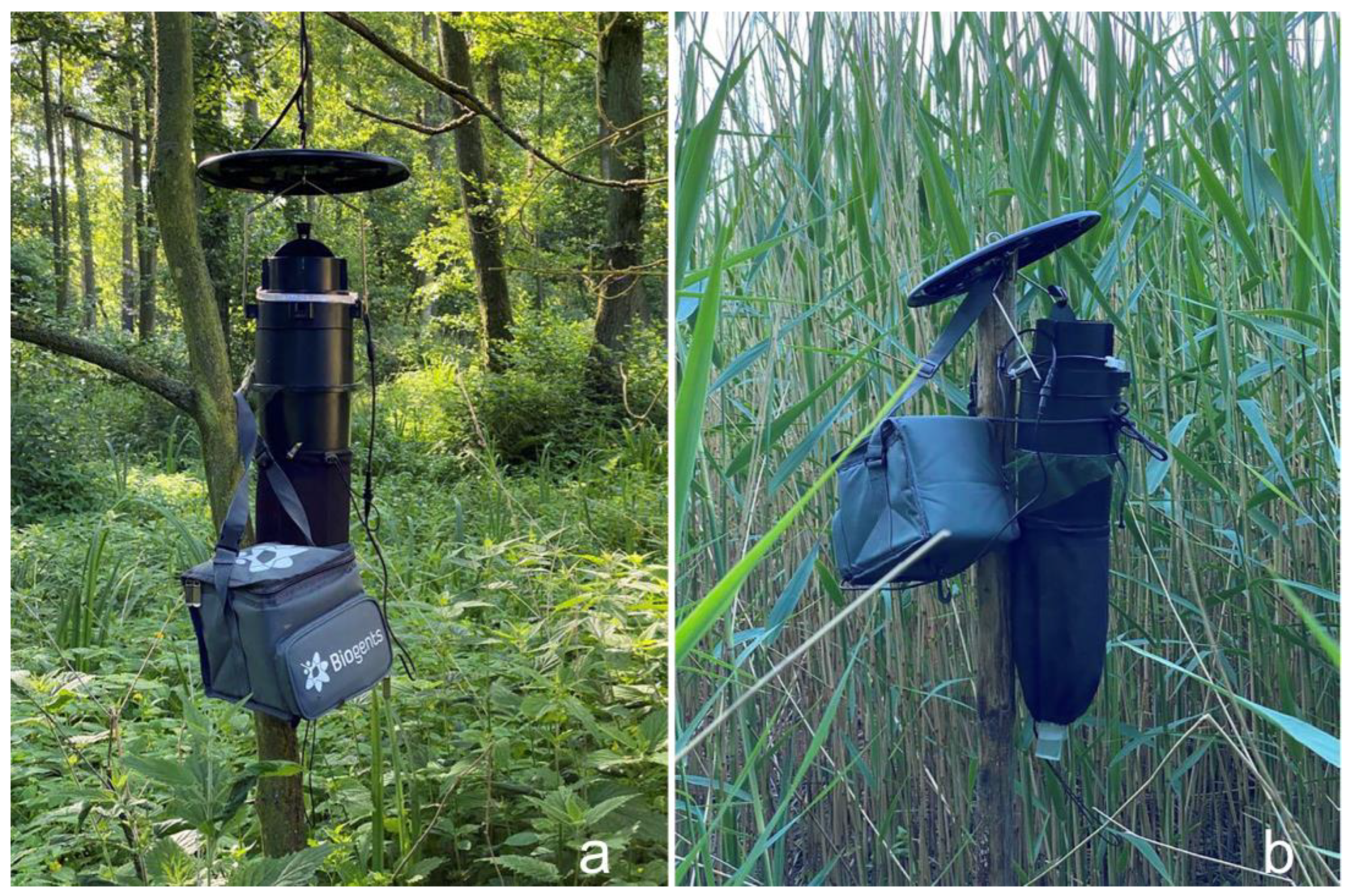 Insects 14 00926 g001 Insects 14 00926 g001