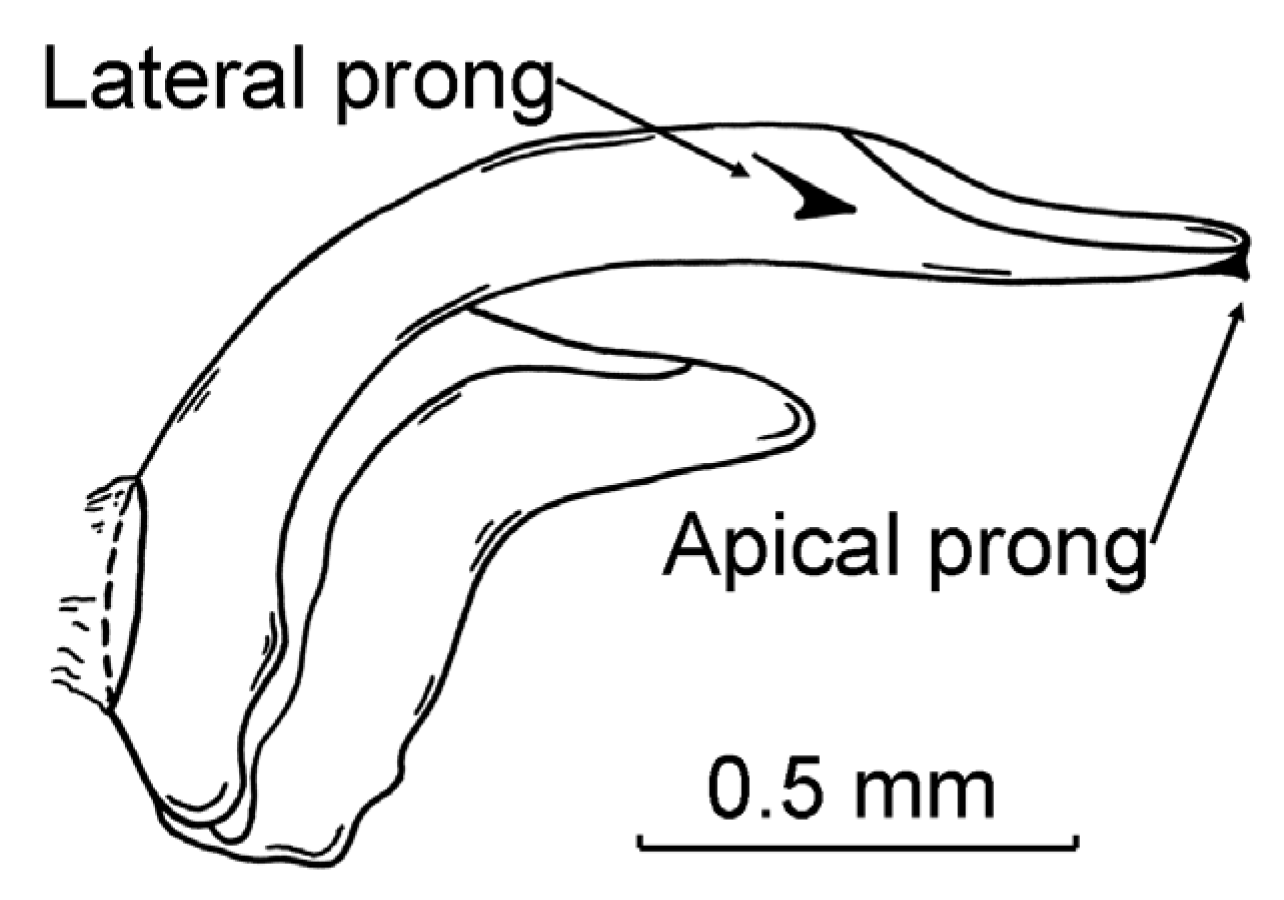 Insects 14 00927 g001