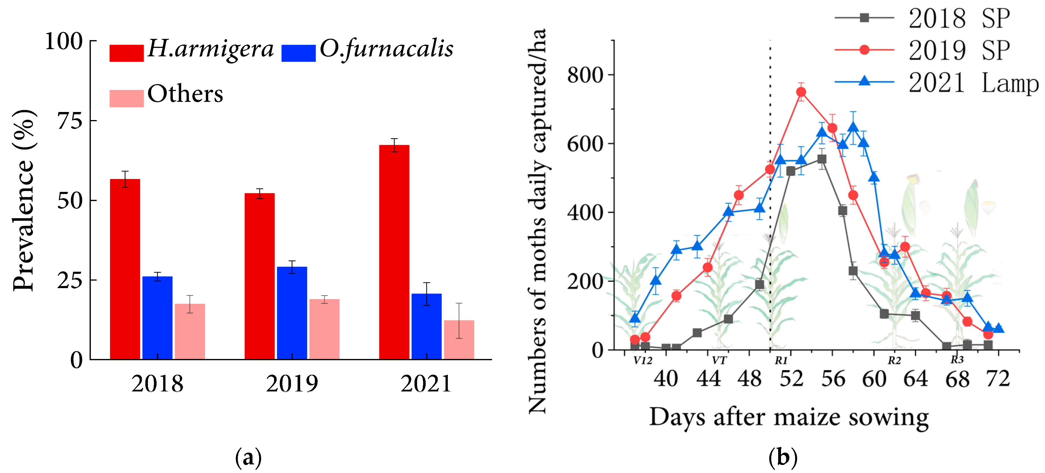 Insects 14 00929 g001