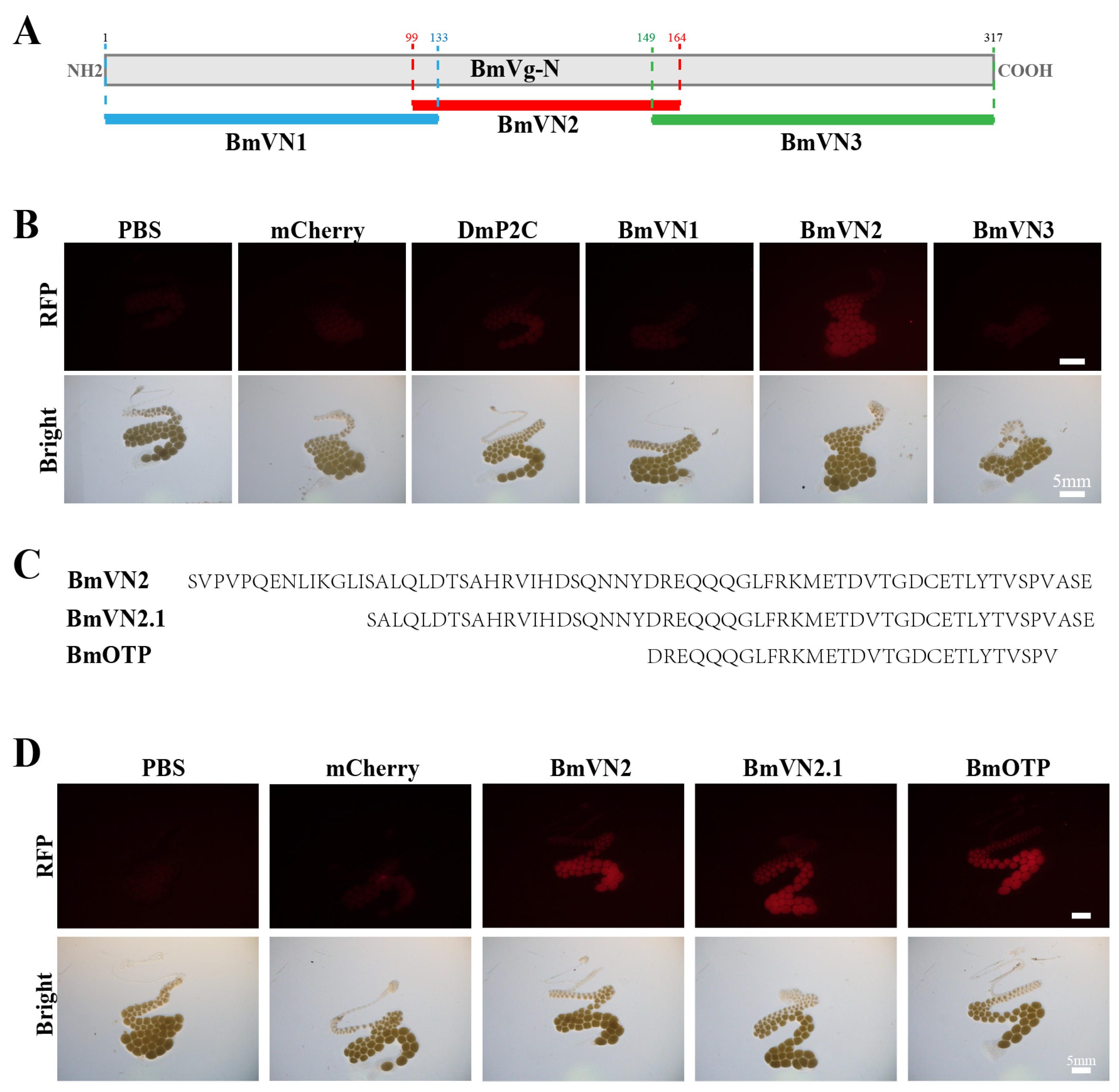 Insects 14 00932 g002