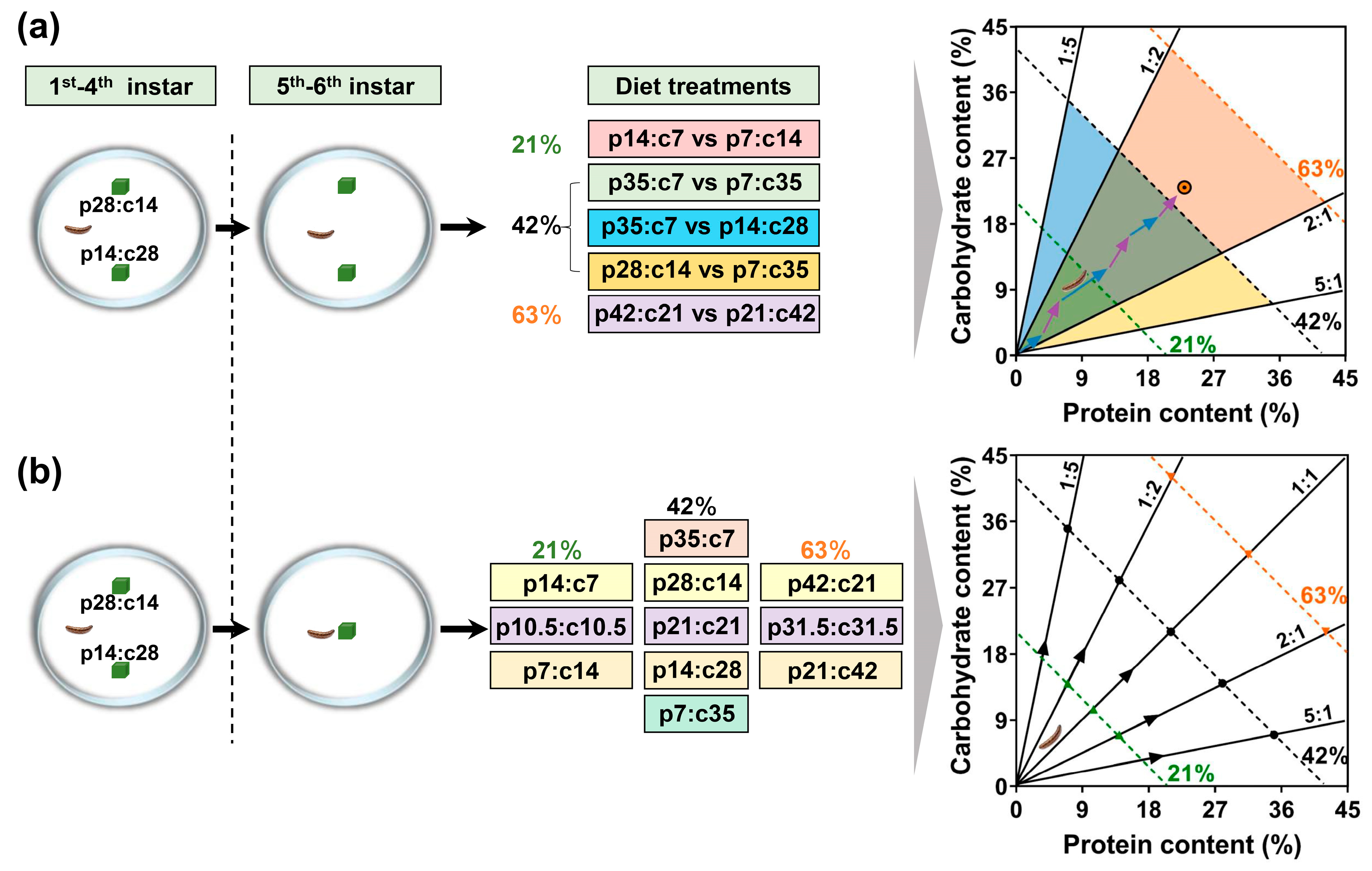 Insects 14 00937 g001