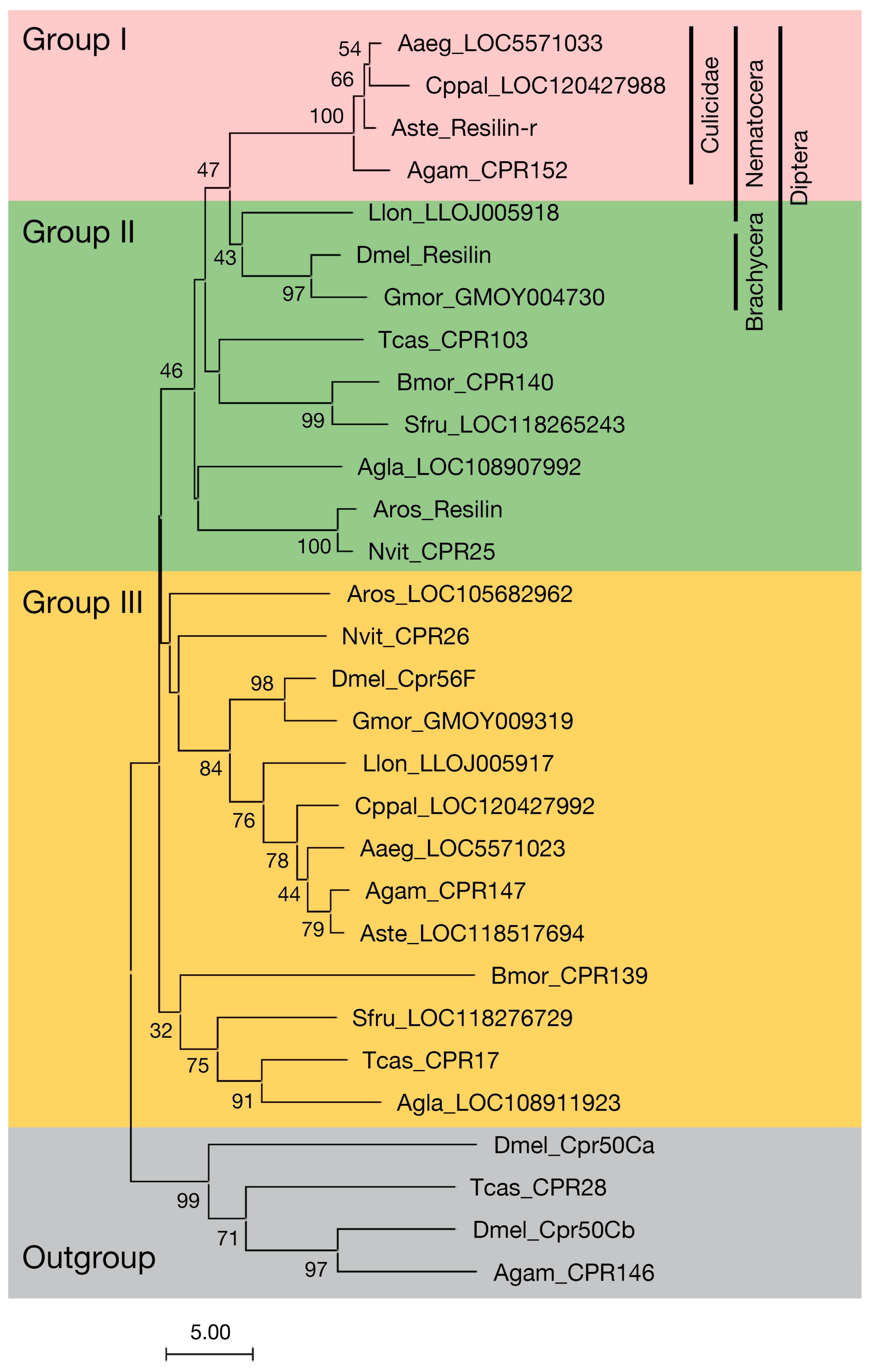 Insects 14 00941 g001