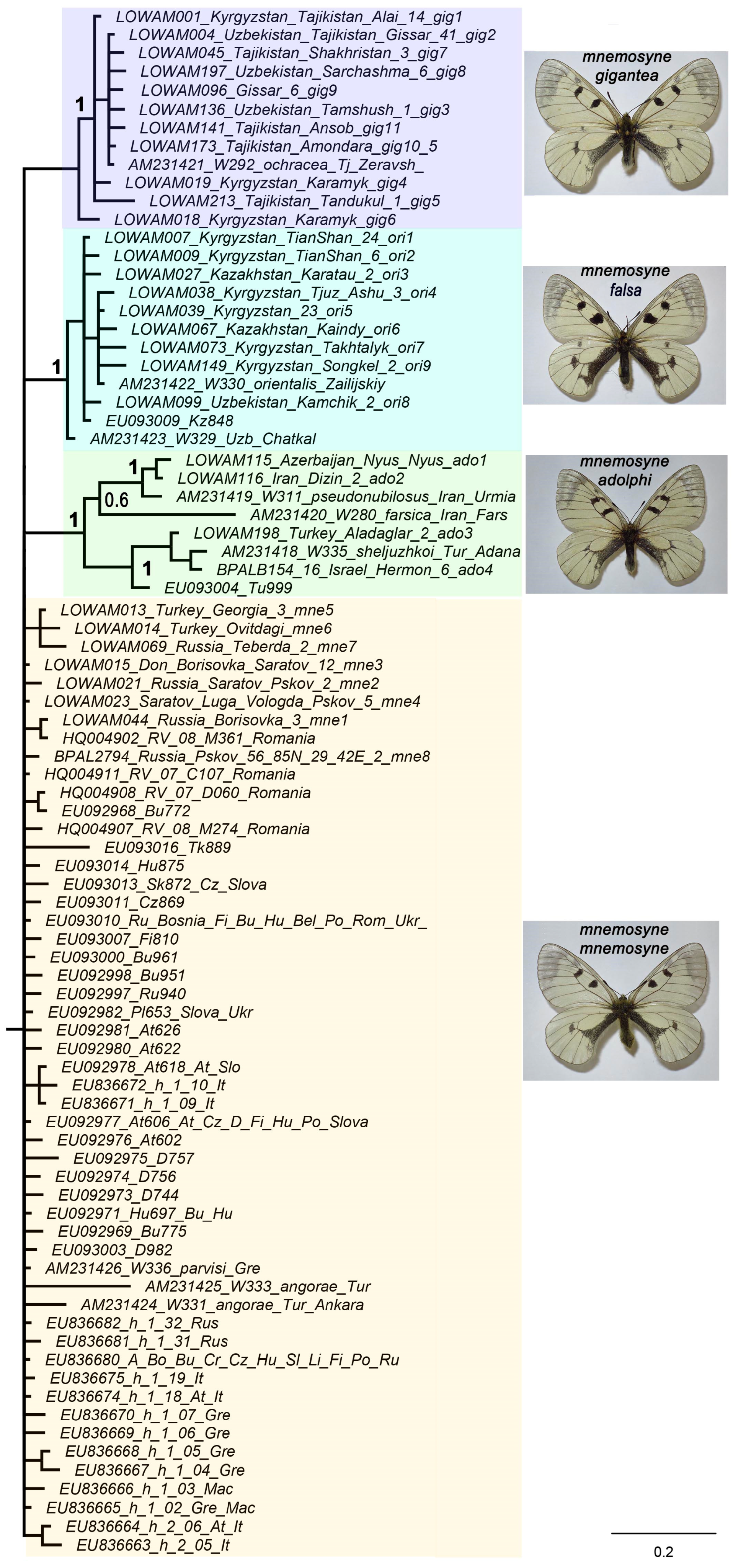 Insects 14 00942 g002