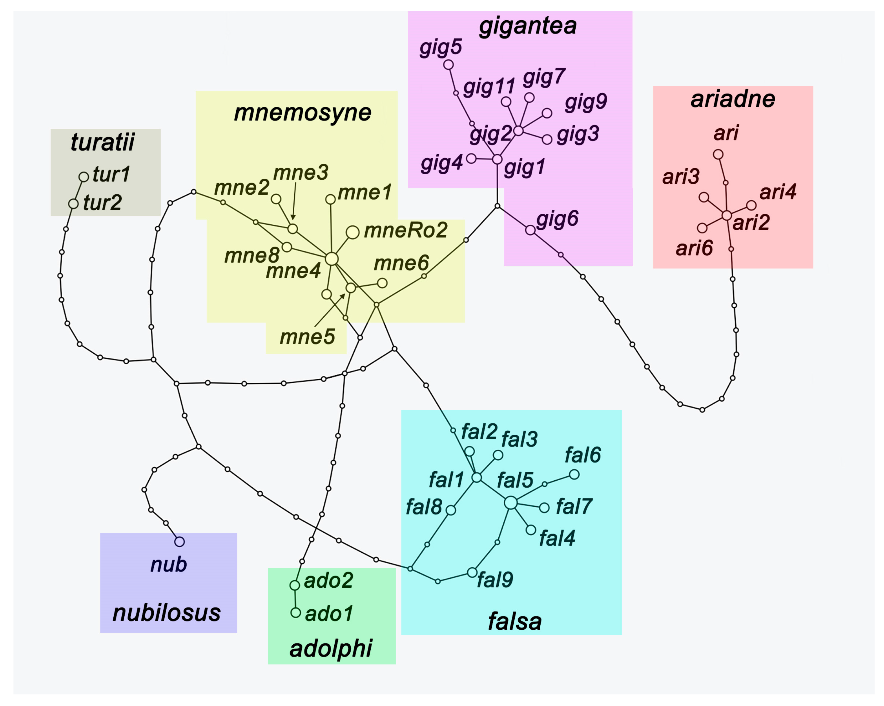 Insects 14 00942 g003