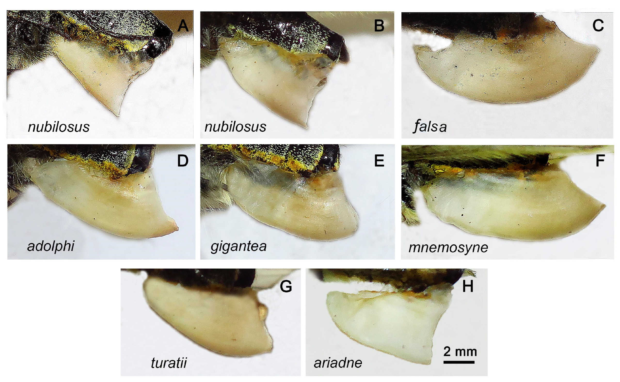Insects 14 00942 g008