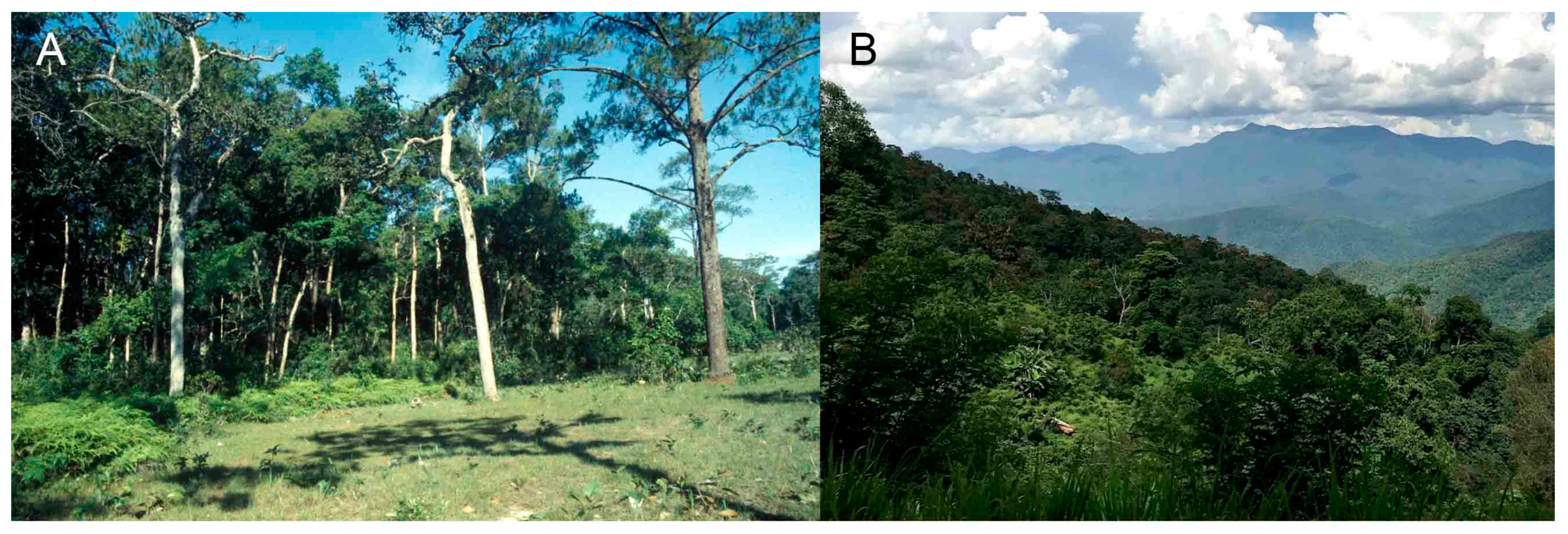 Insects 14 00947 g003