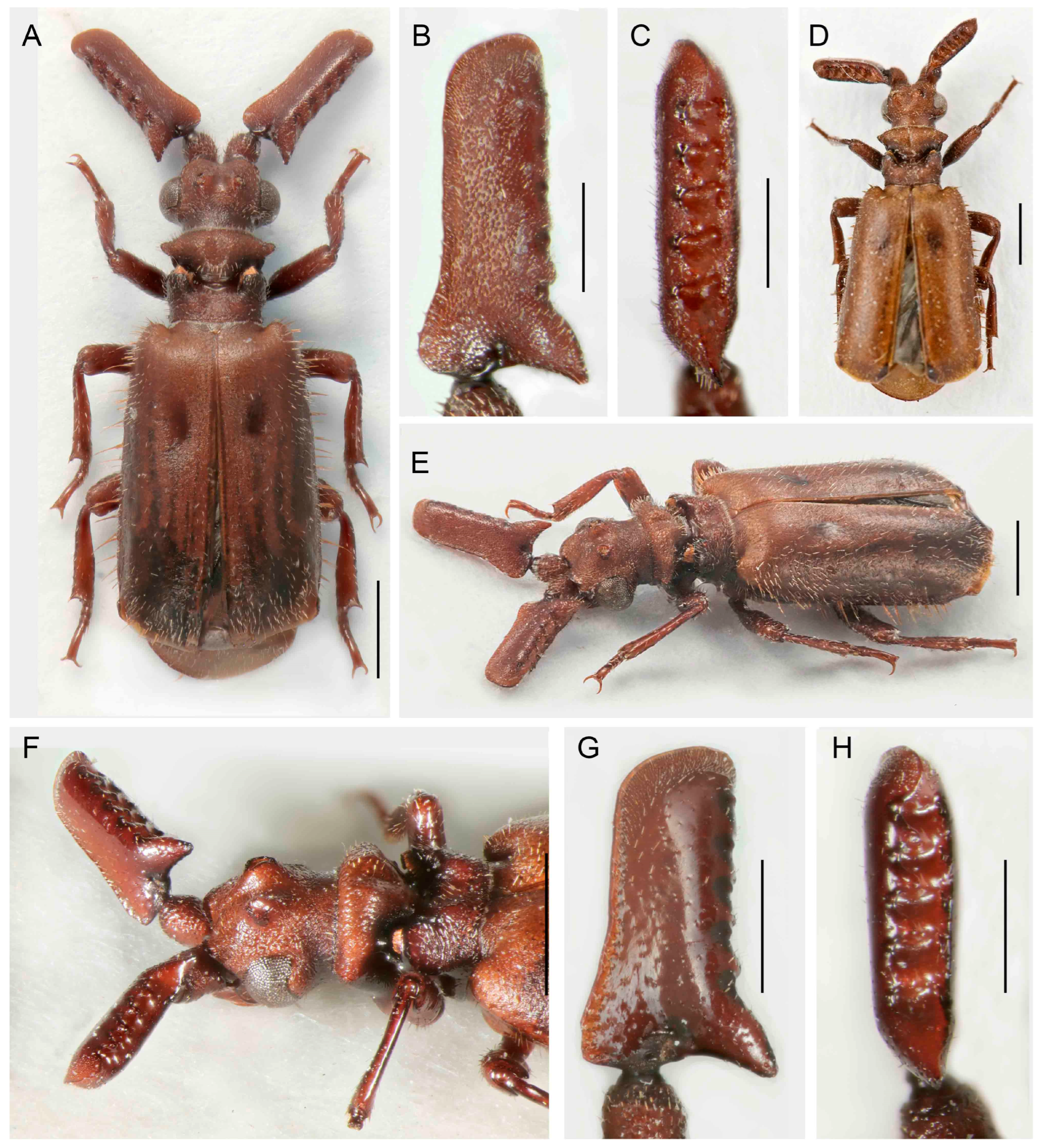 Insects 14 00947 g005