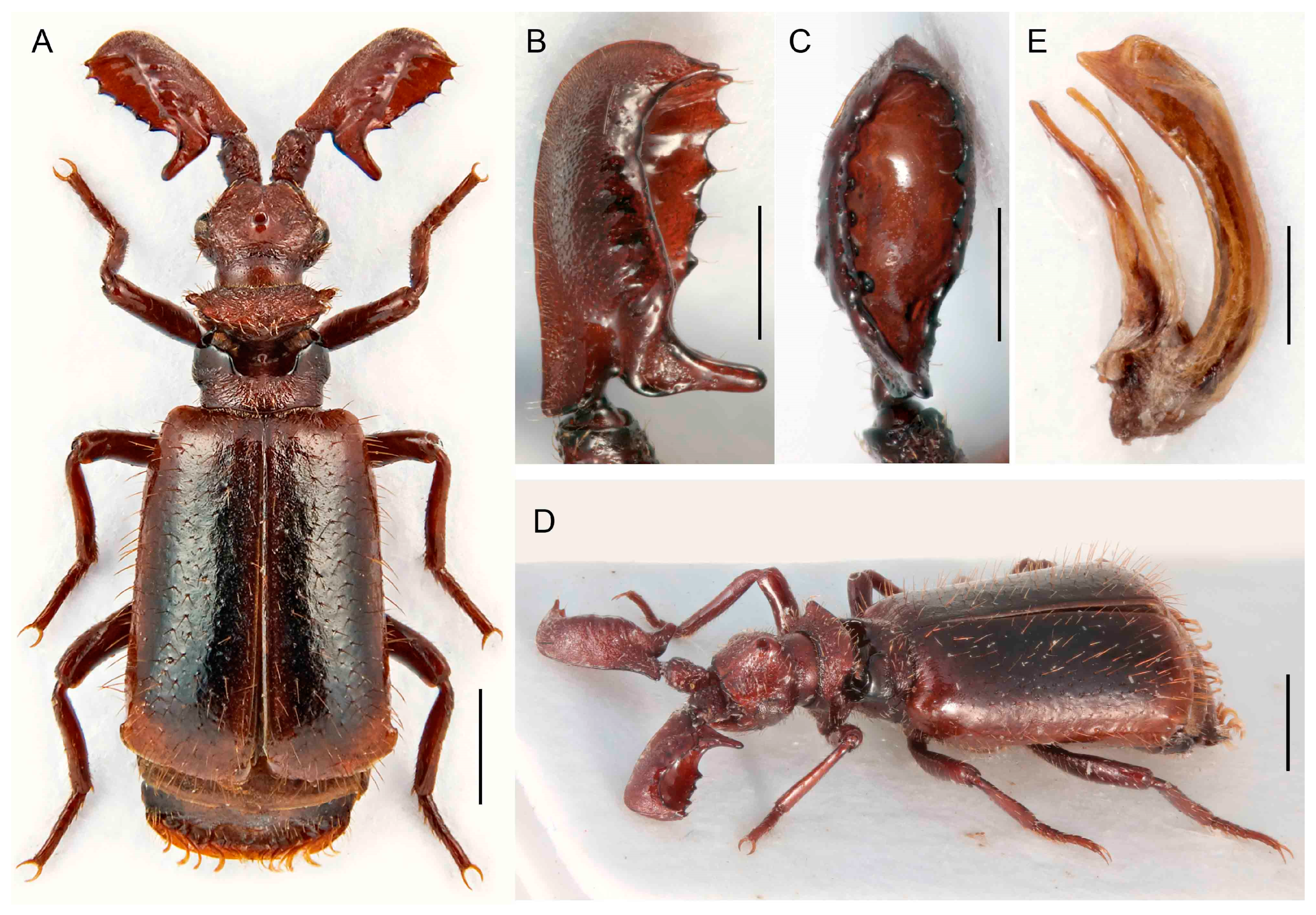 Insects 14 00947 g010