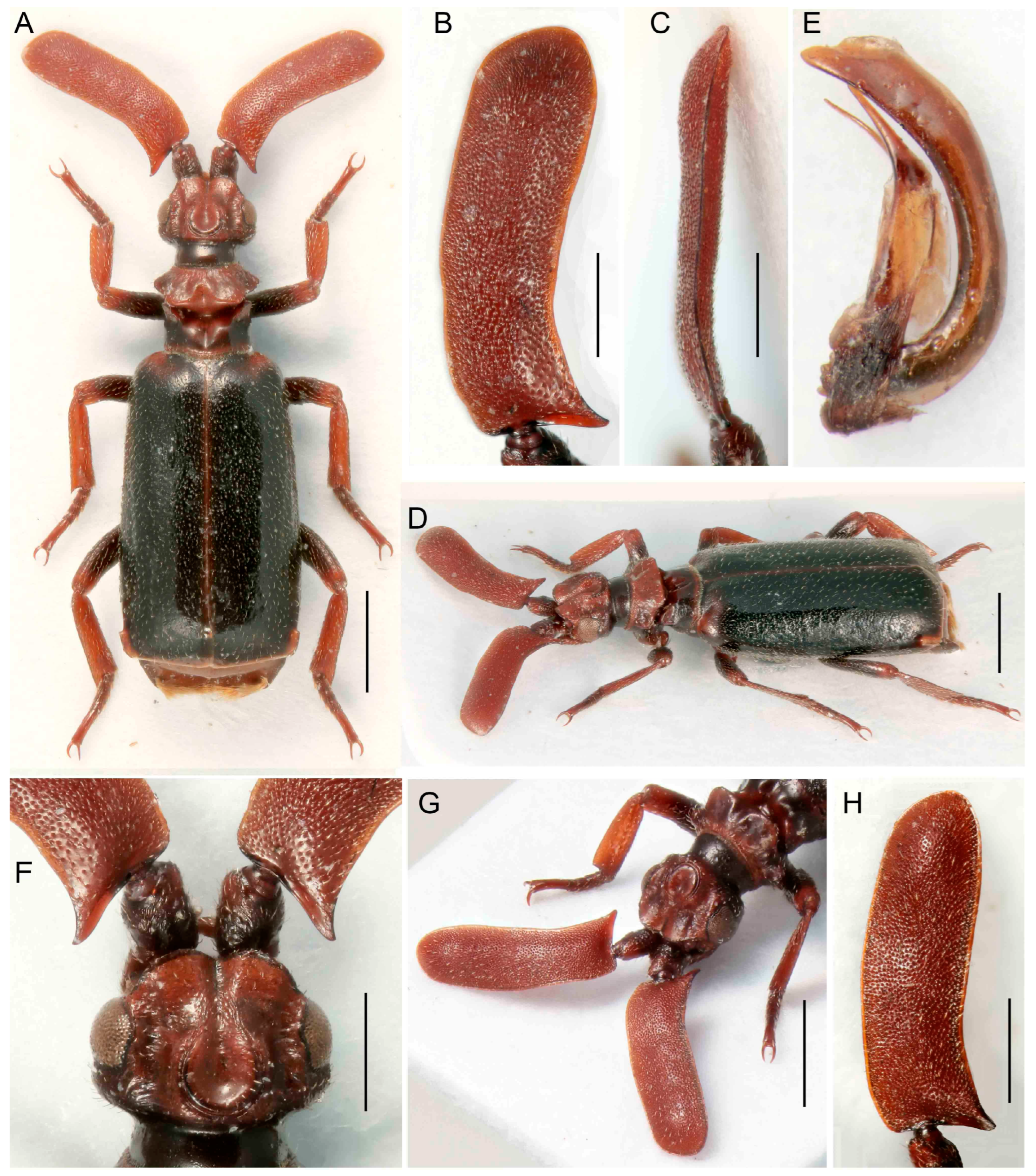 Insects 14 00947 g011