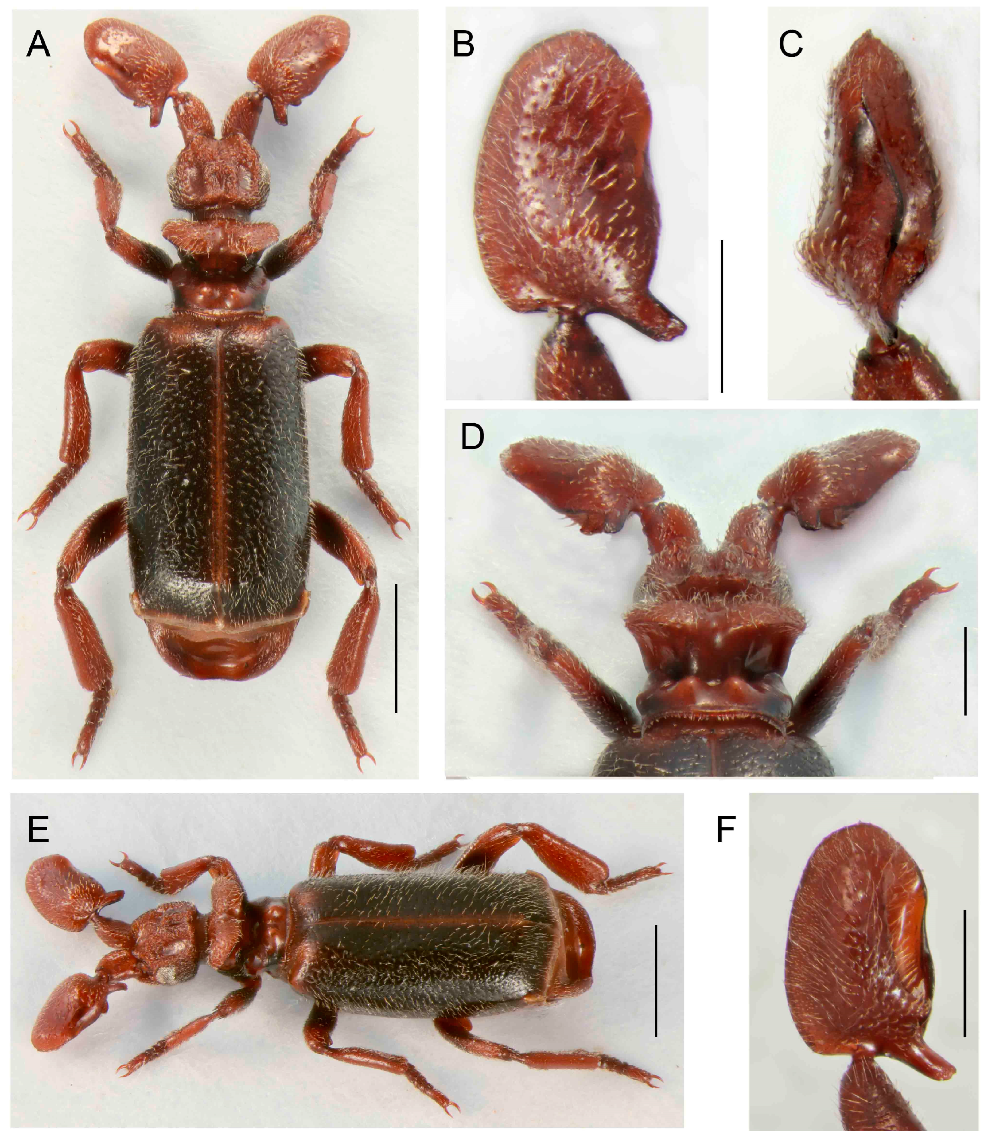 Insects 14 00947 g012