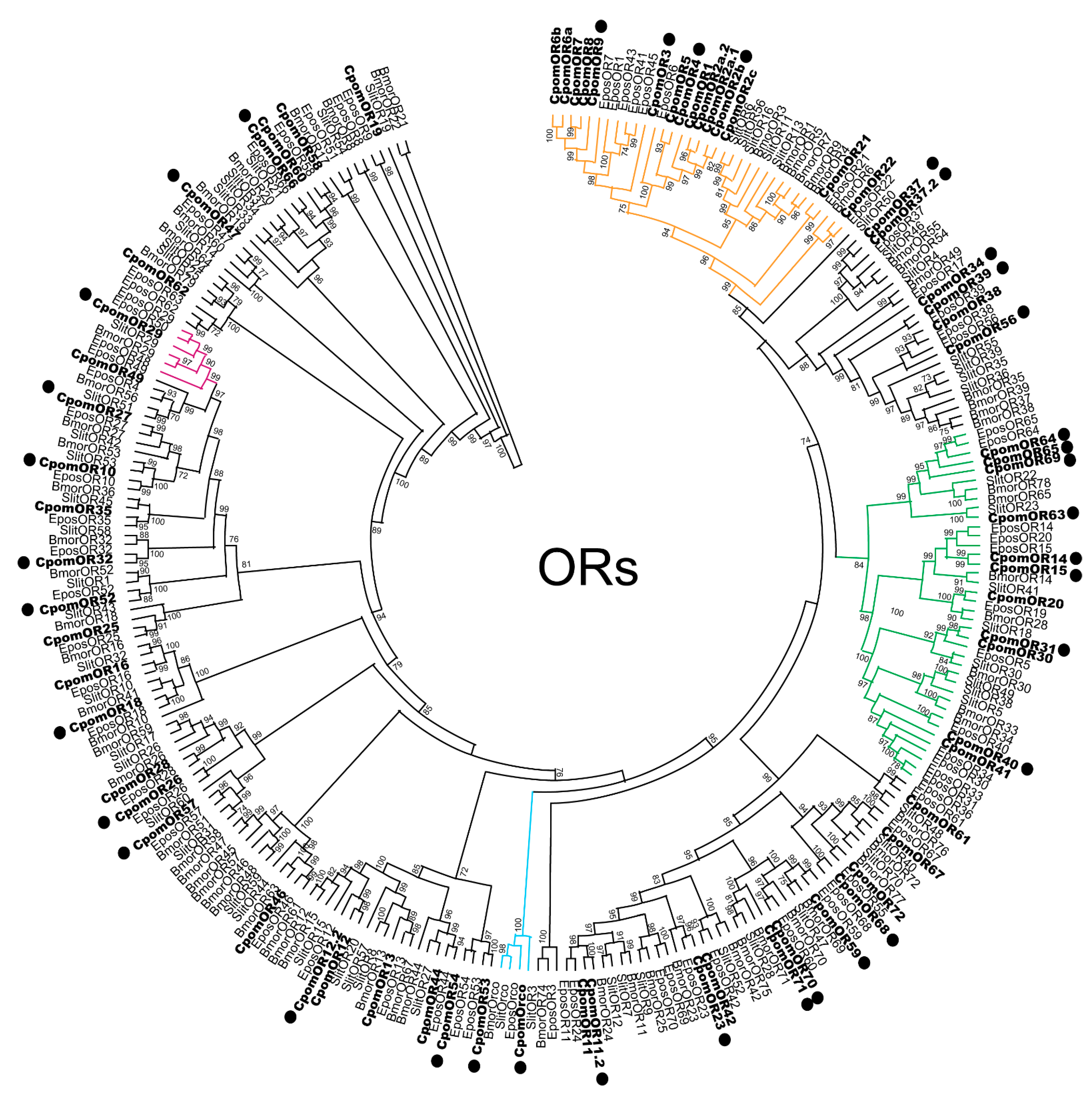Insects 14 00948 g001