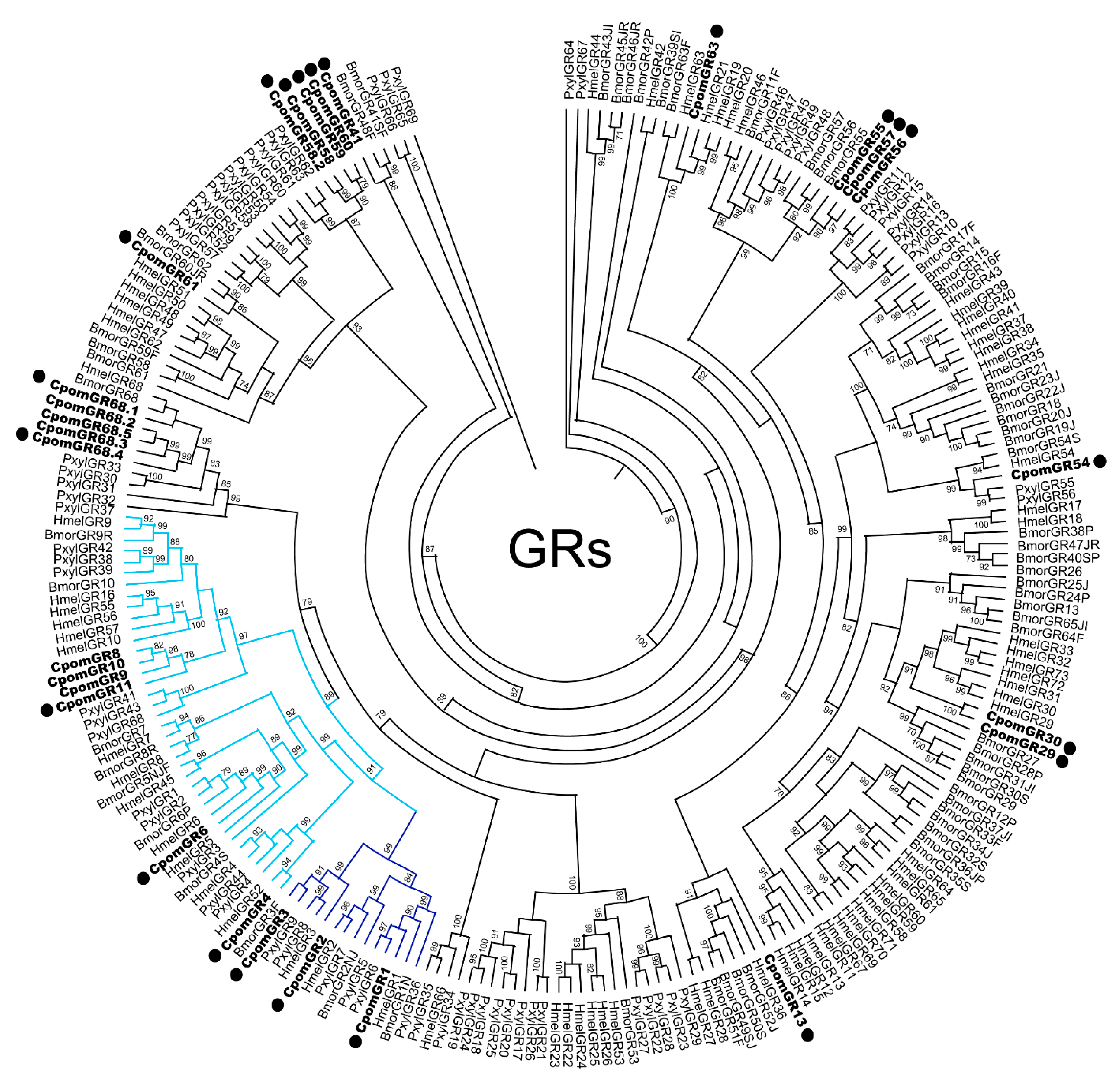 Insects 14 00948 g002