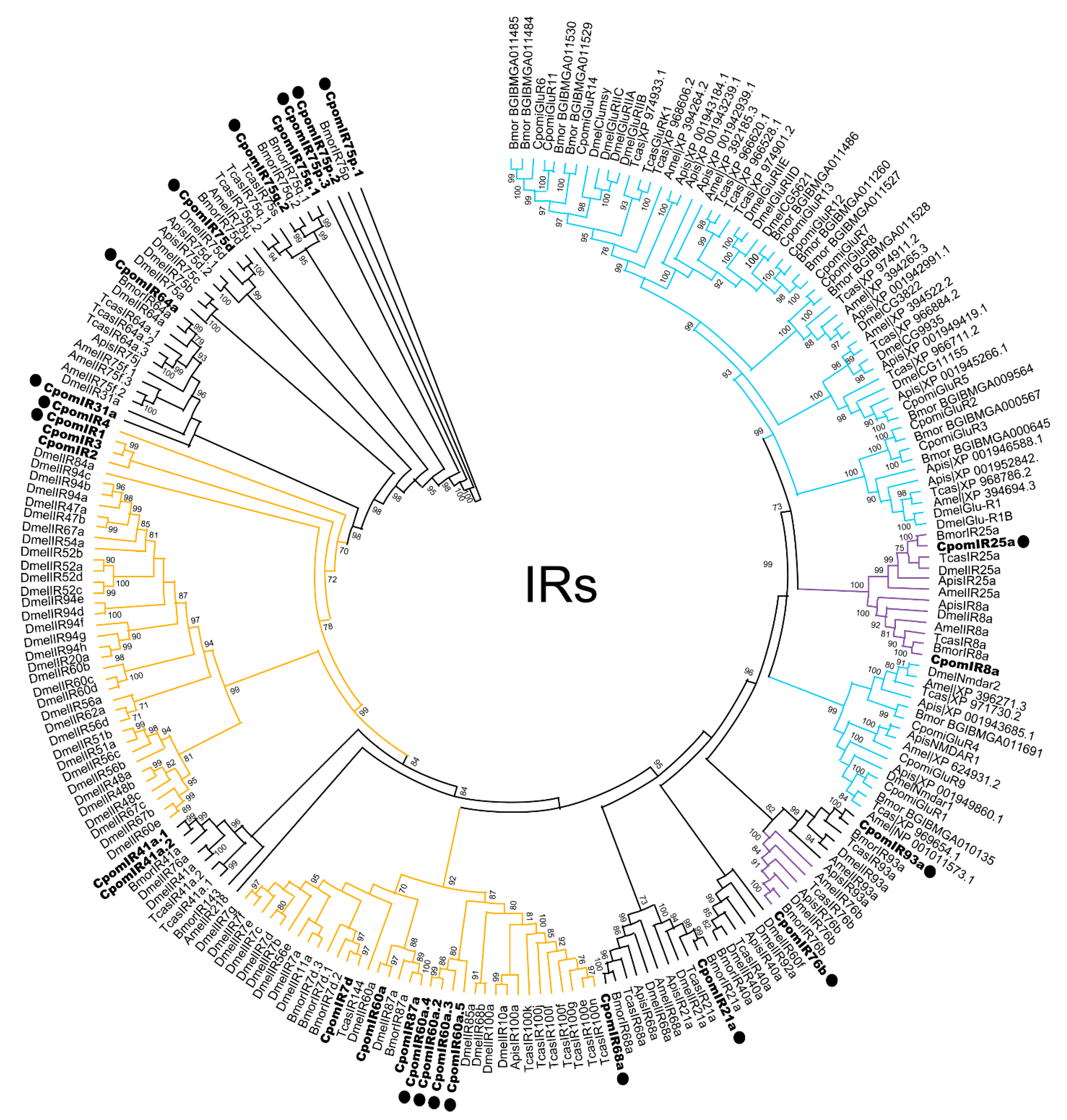 Insects 14 00948 g003