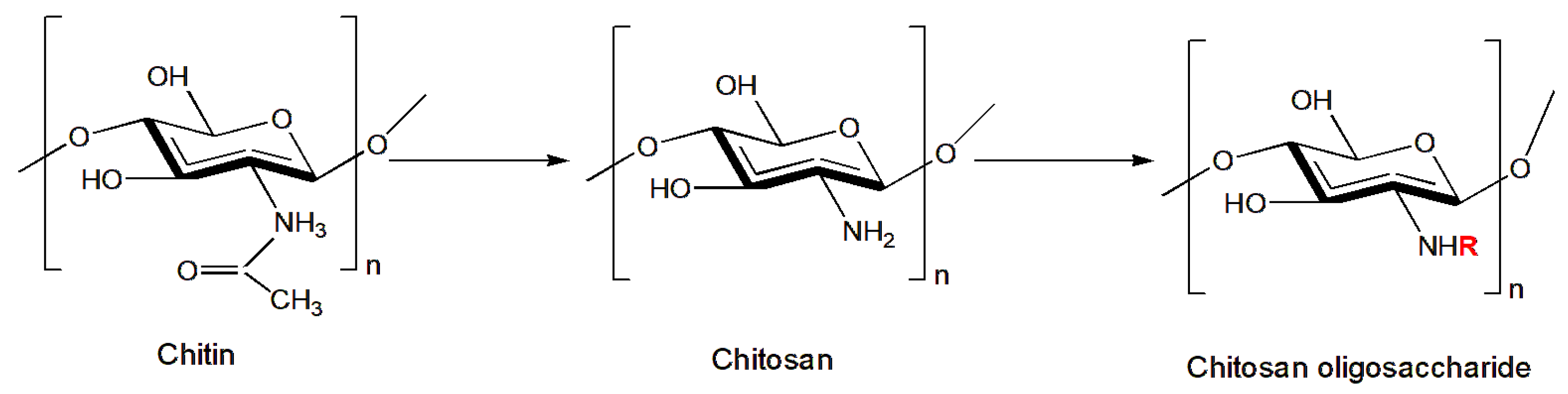Insects 14 00949 g001