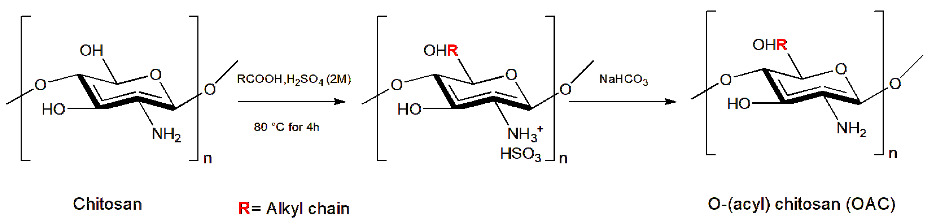 Insects 14 00949 g002