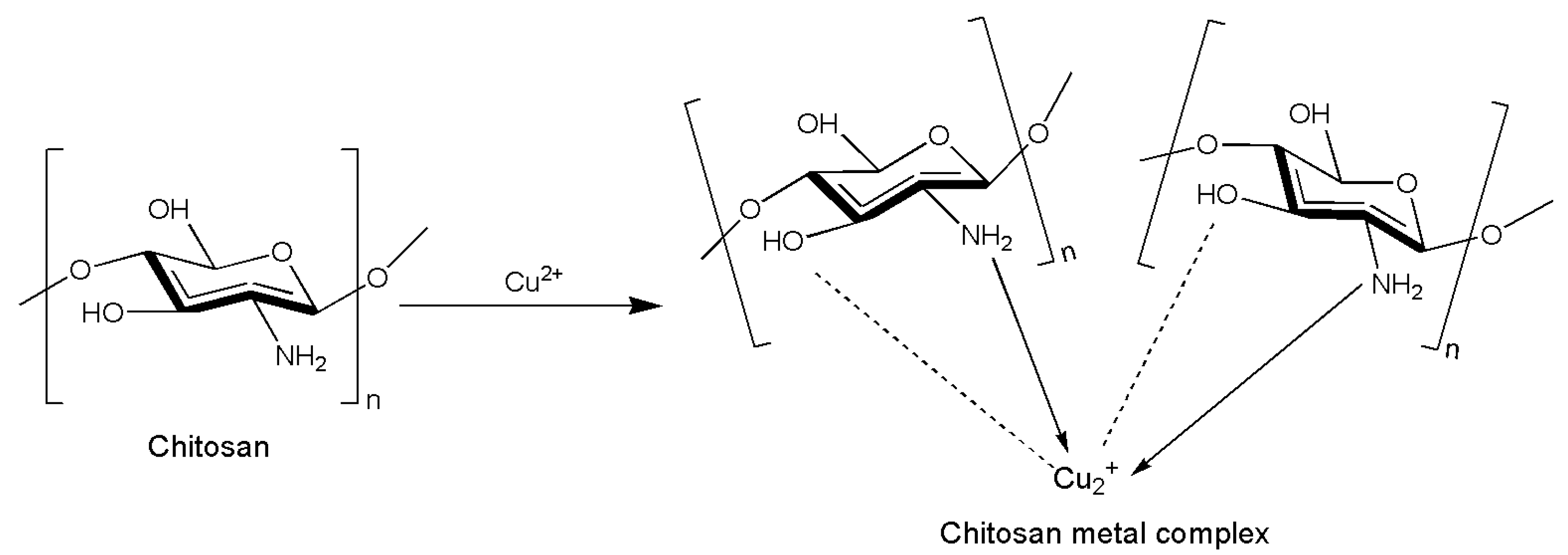 Insects 14 00949 g003