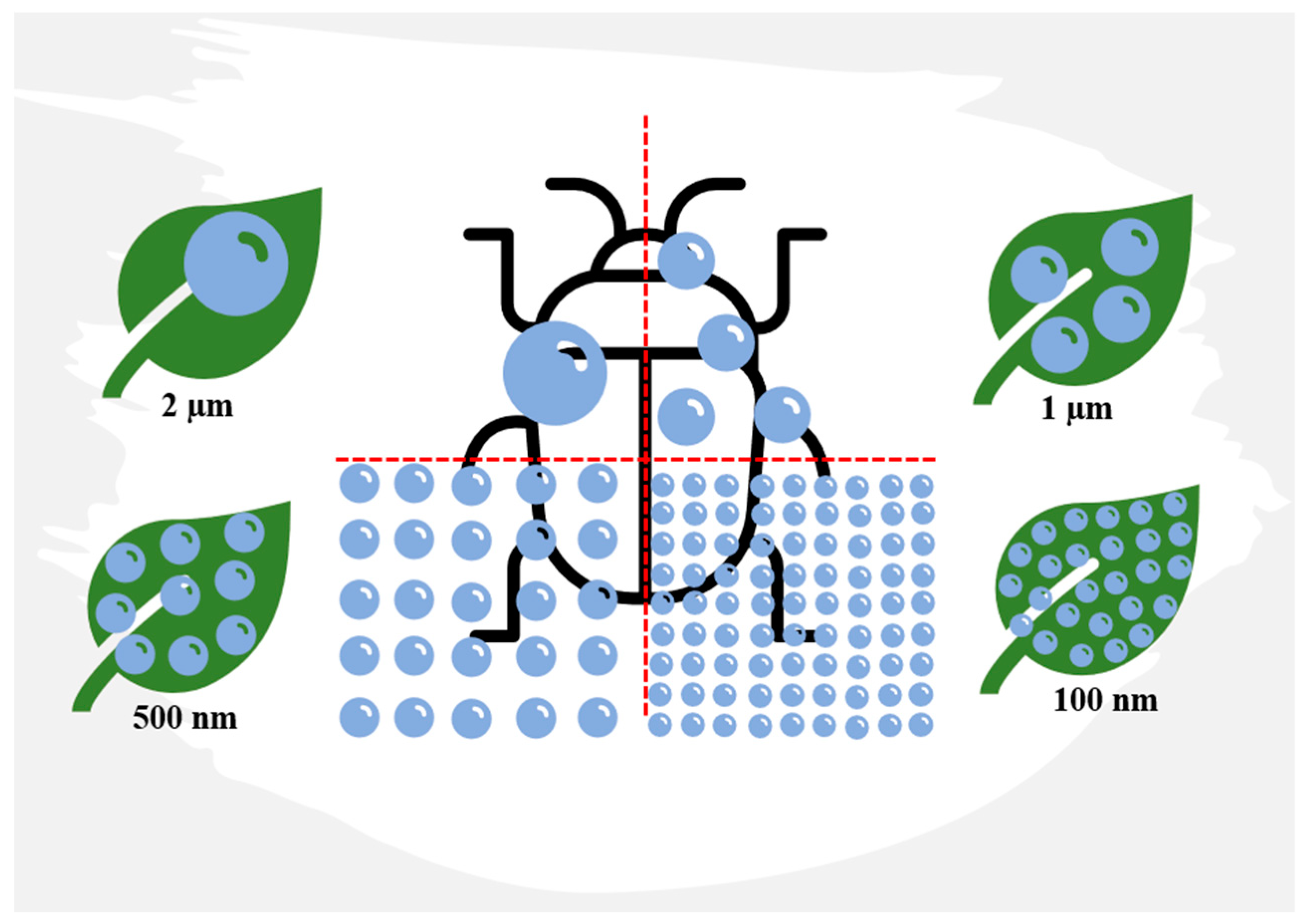 Insects 14 00949 g004