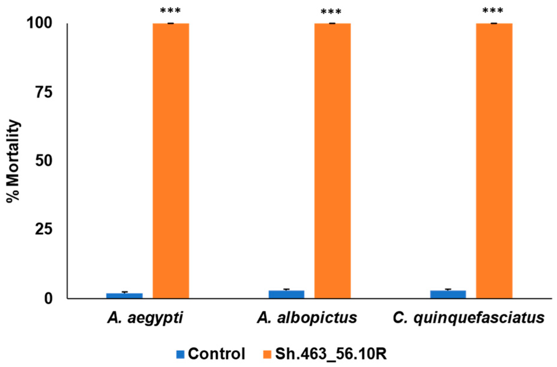 Insects 14 00950 g001