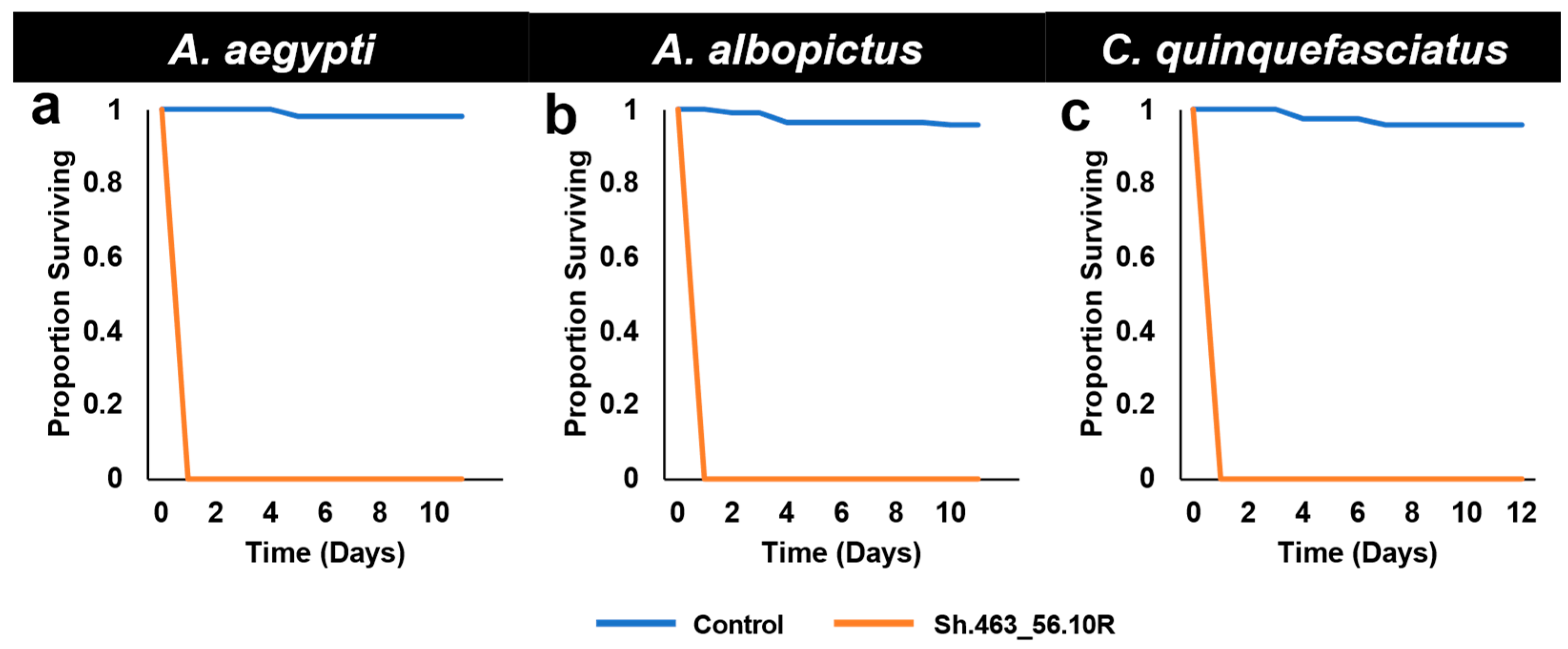 Insects 14 00950 g002