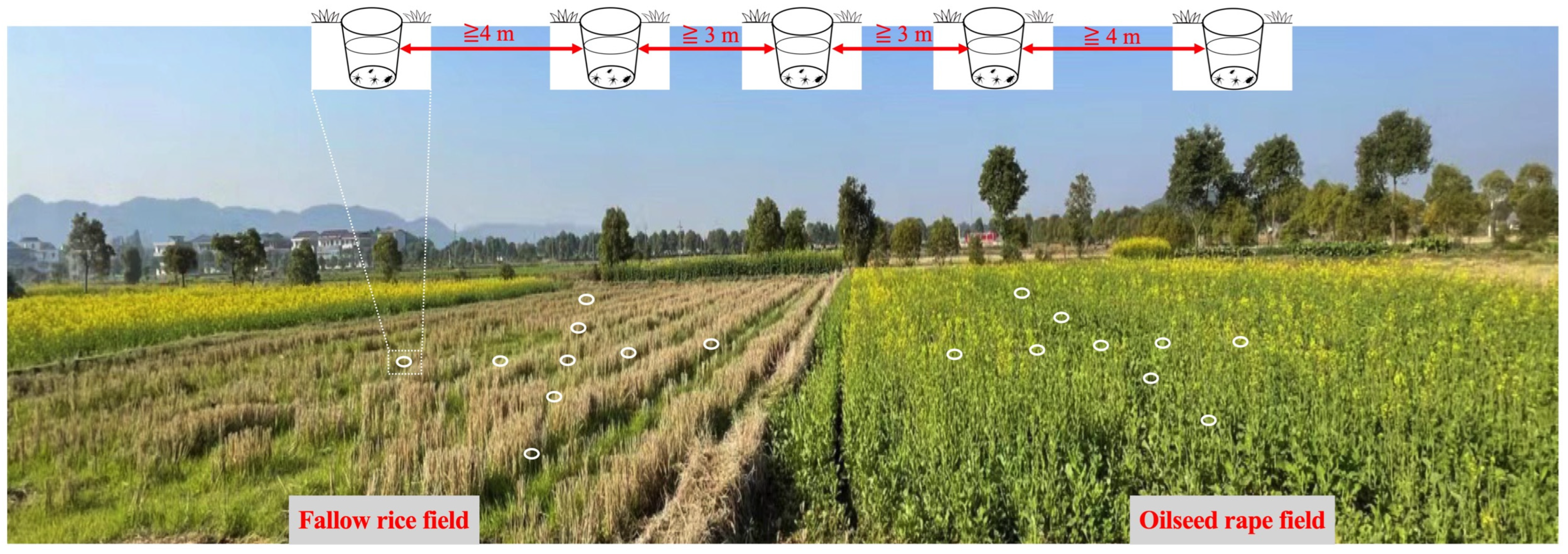 Insects 14 00951 g002