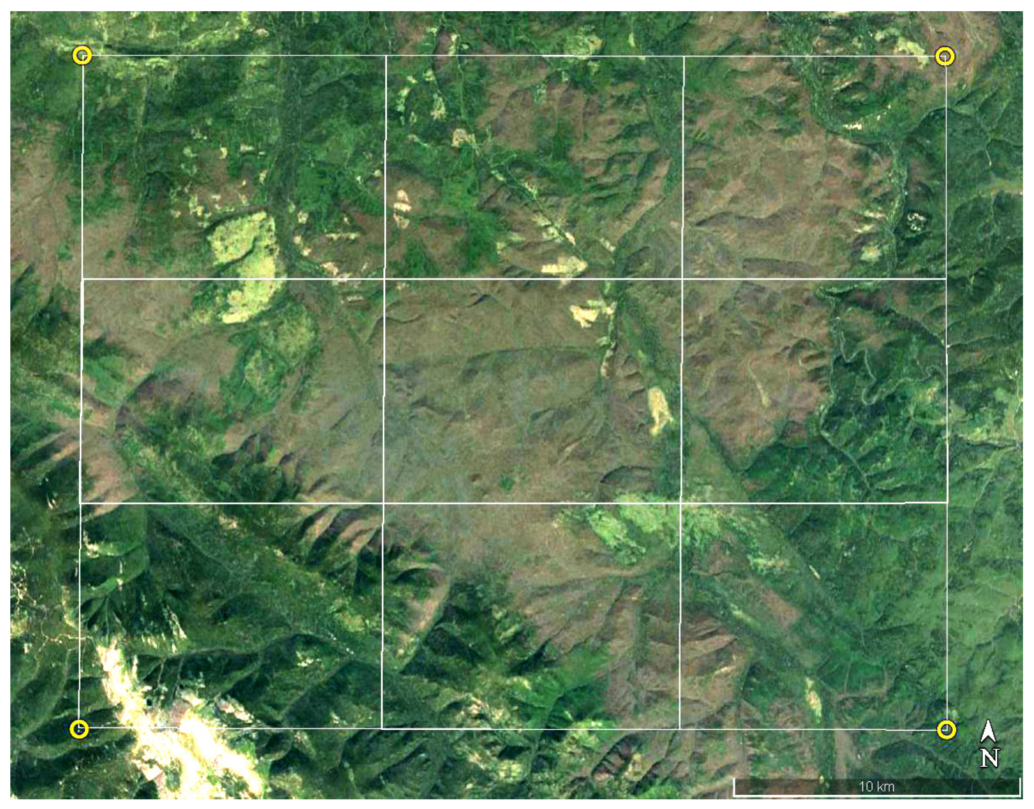 Insects 14 00955 g001