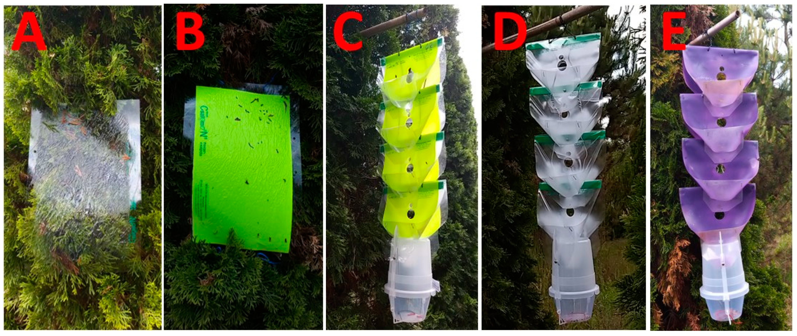 Insects 14 00961 g001