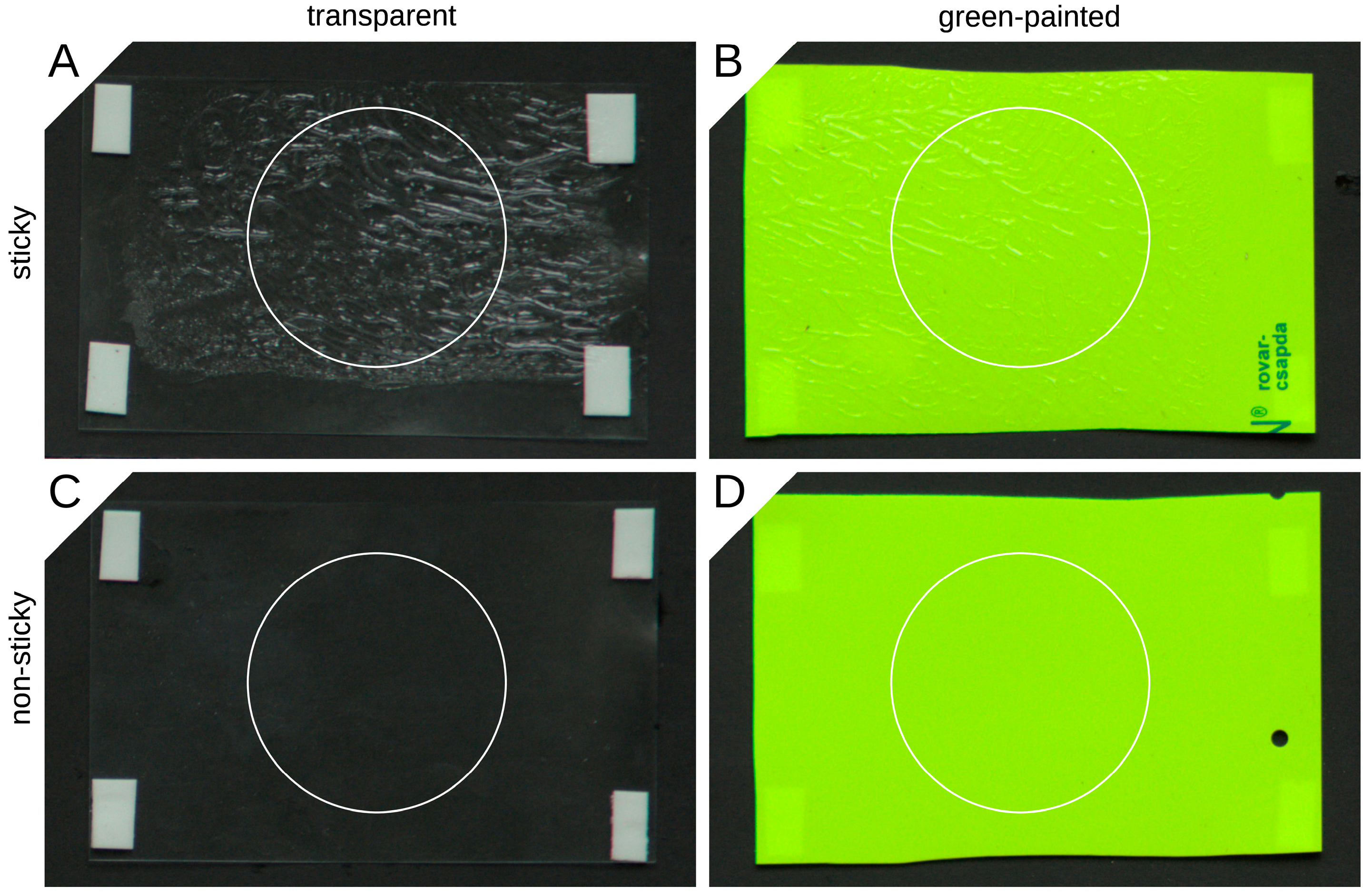 Insects 14 00961 g002