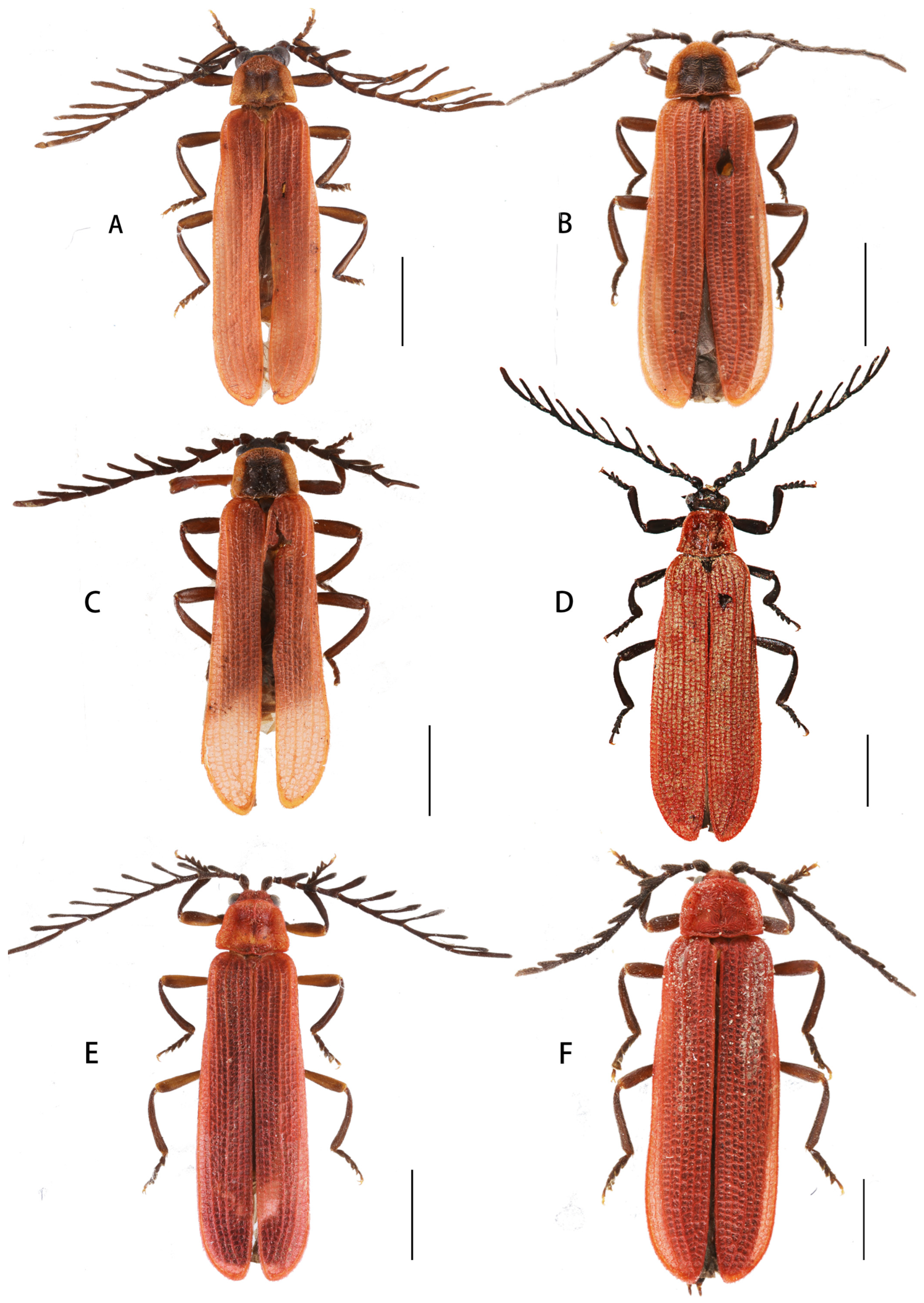 Insects 15 00011 g005 Insects 15 00011 g005