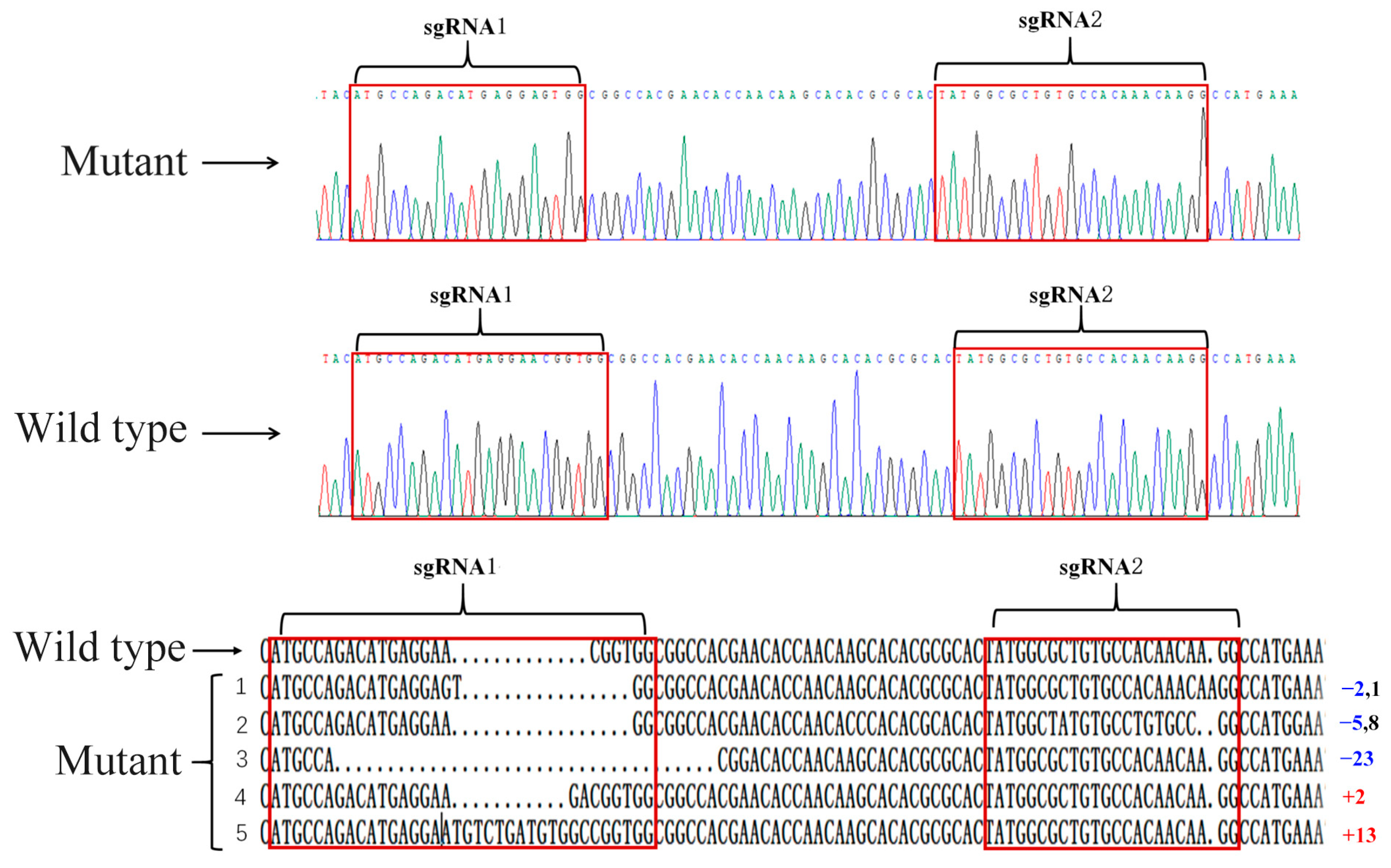 Insects 15 00016 g003
