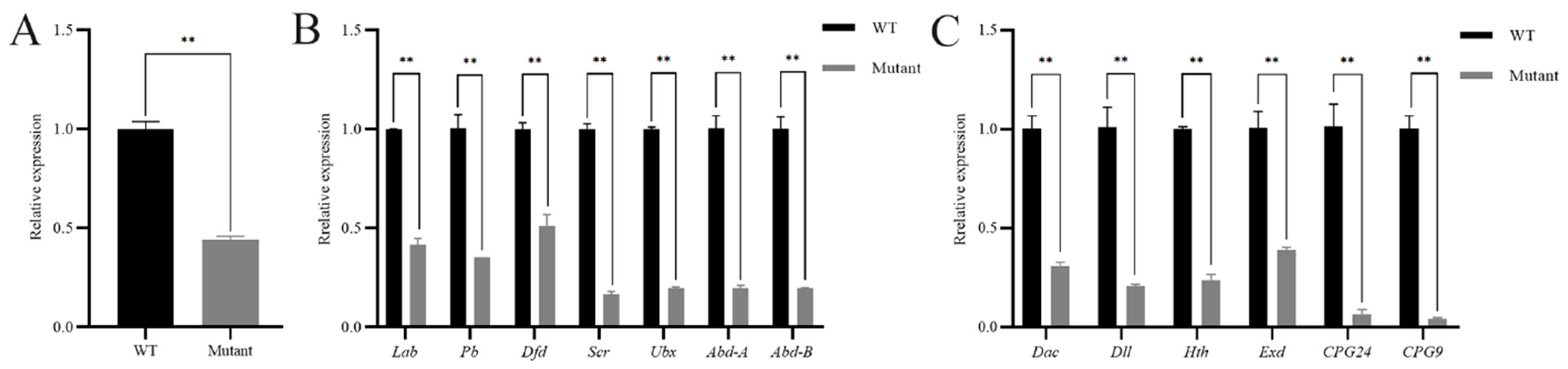 Insects 15 00016 g006