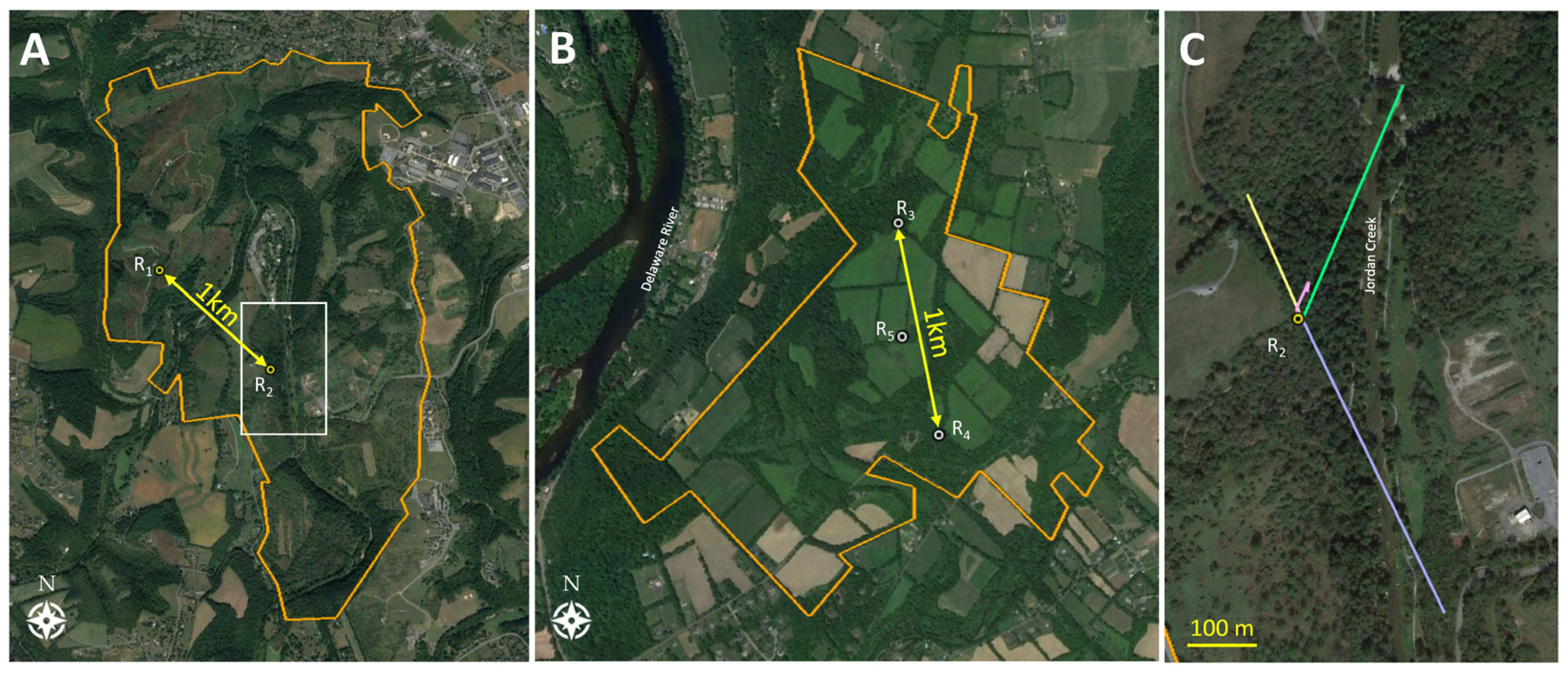 Insects 15 00017 g001