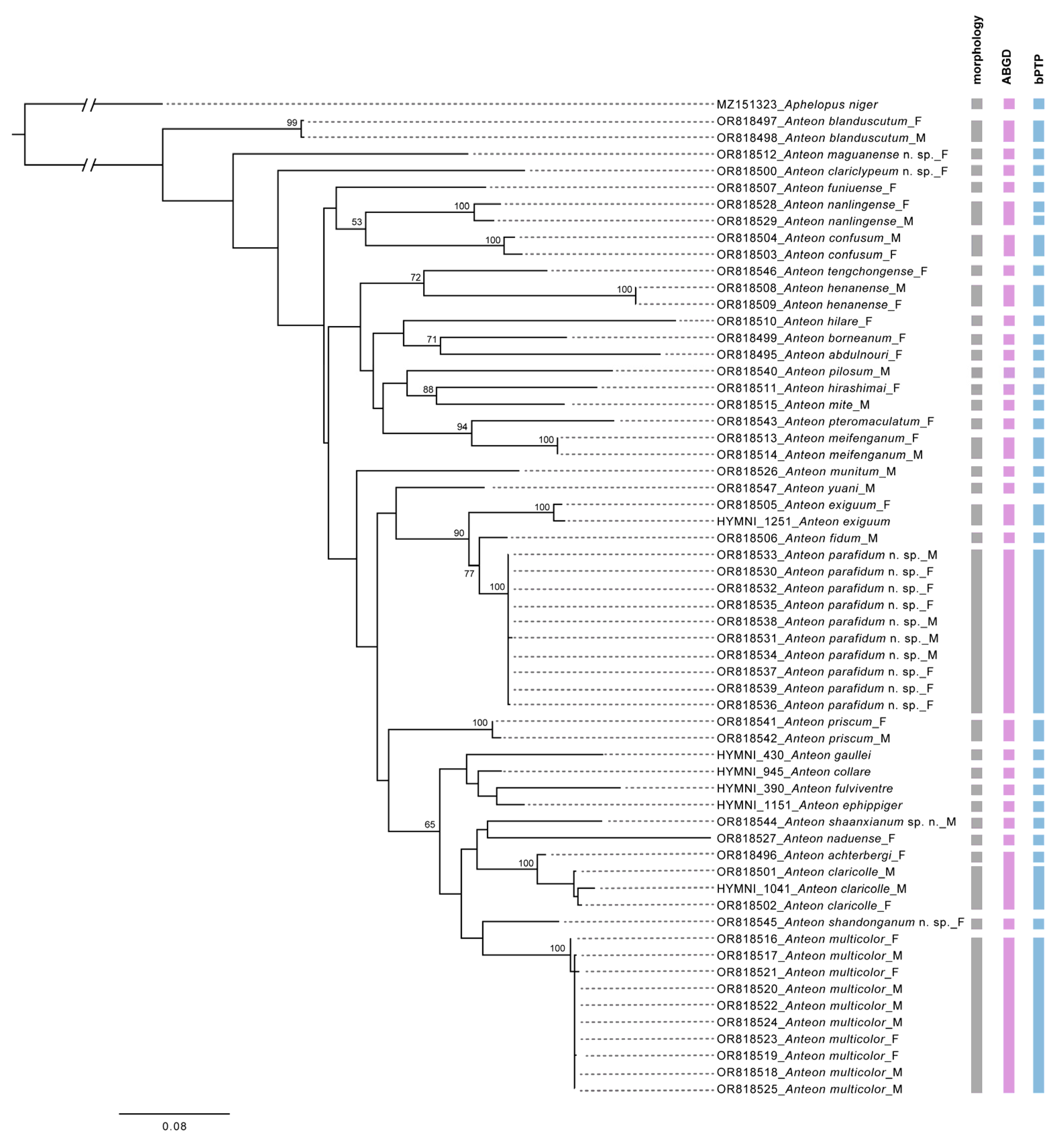 Insects 15 00018 g001
