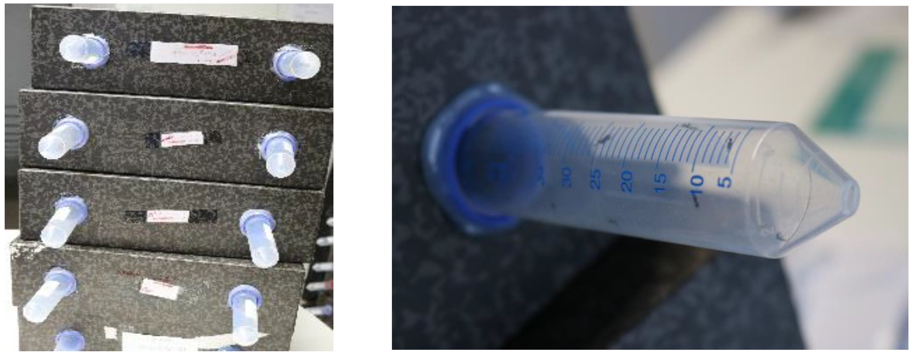 Insects 15 00022 g002 Insects 15 00022 g002