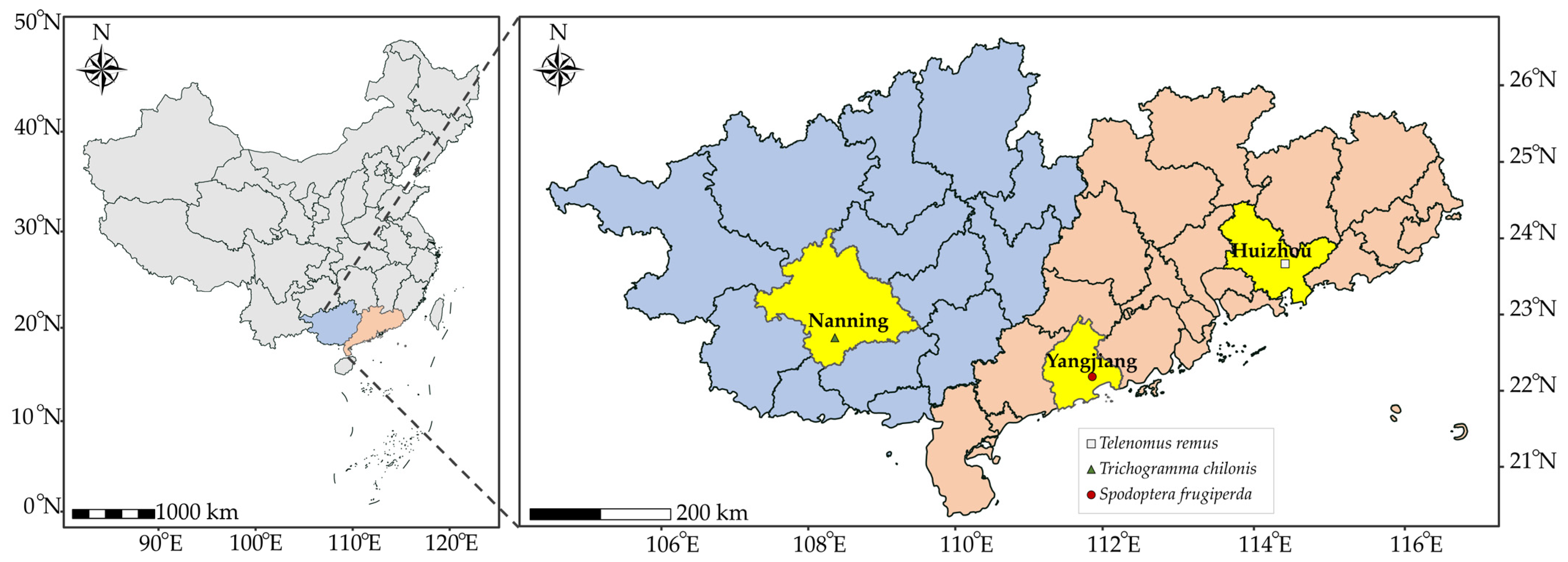 Insects 15 00028 g001