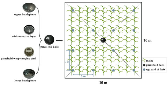 Insect Rod Effect Field Control Effect of Telenomus remus Nixon and Trichogramma chilonis ...