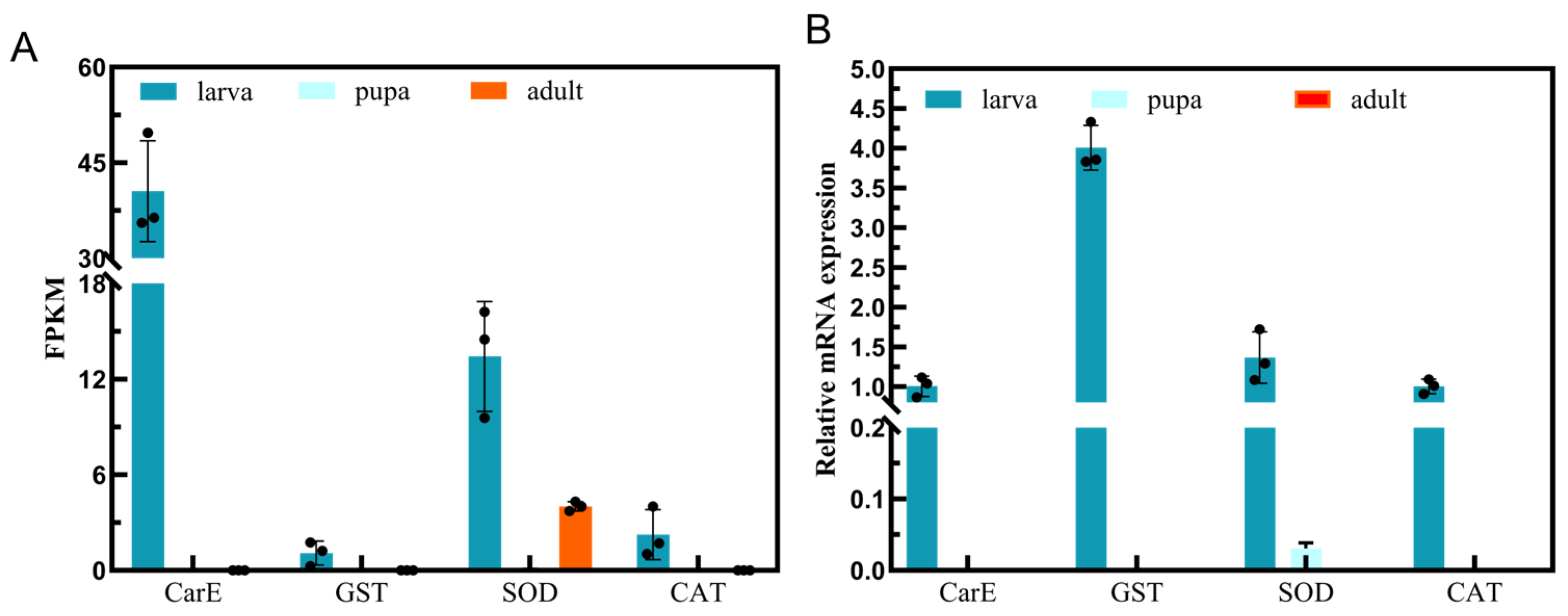 Insects 15 00030 g009
