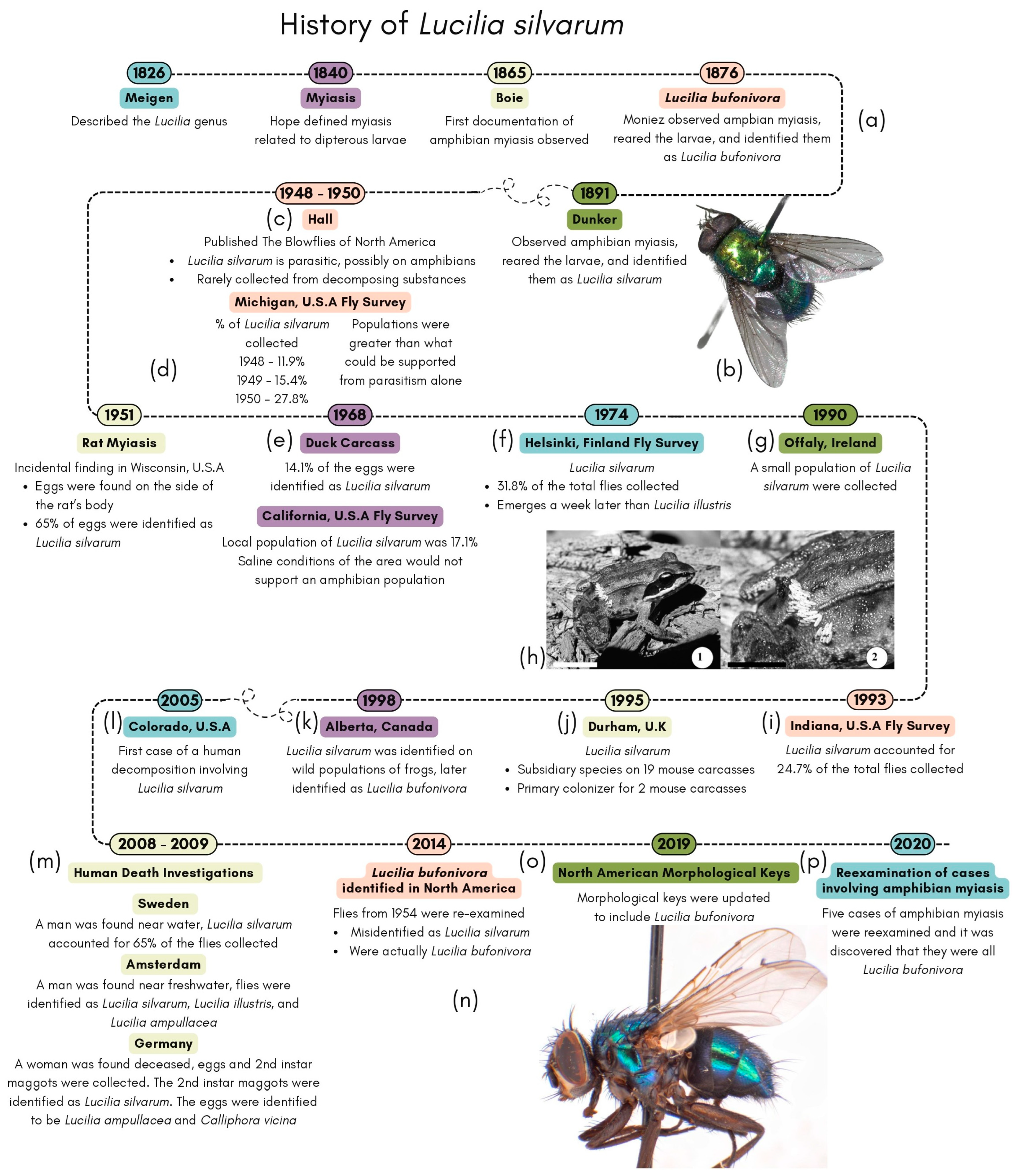 Insects 15 00032 g001