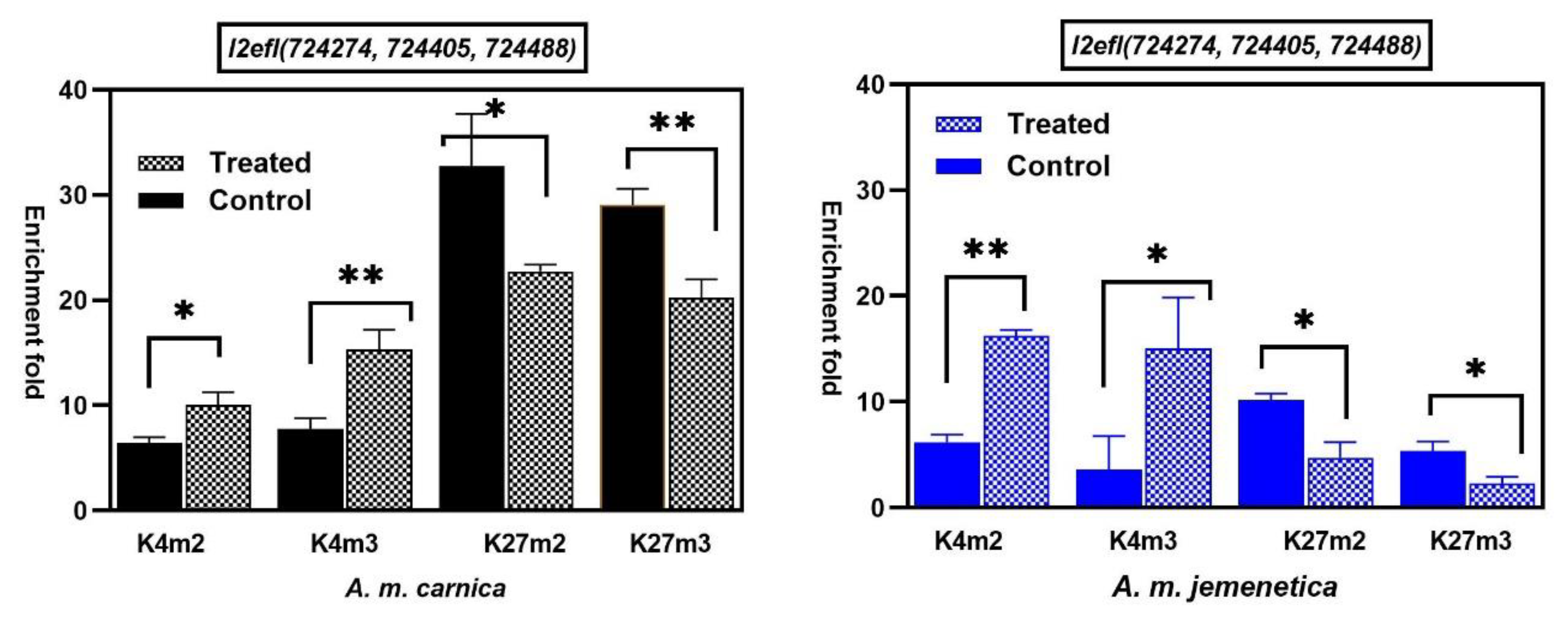 Insects 15 00033 g001