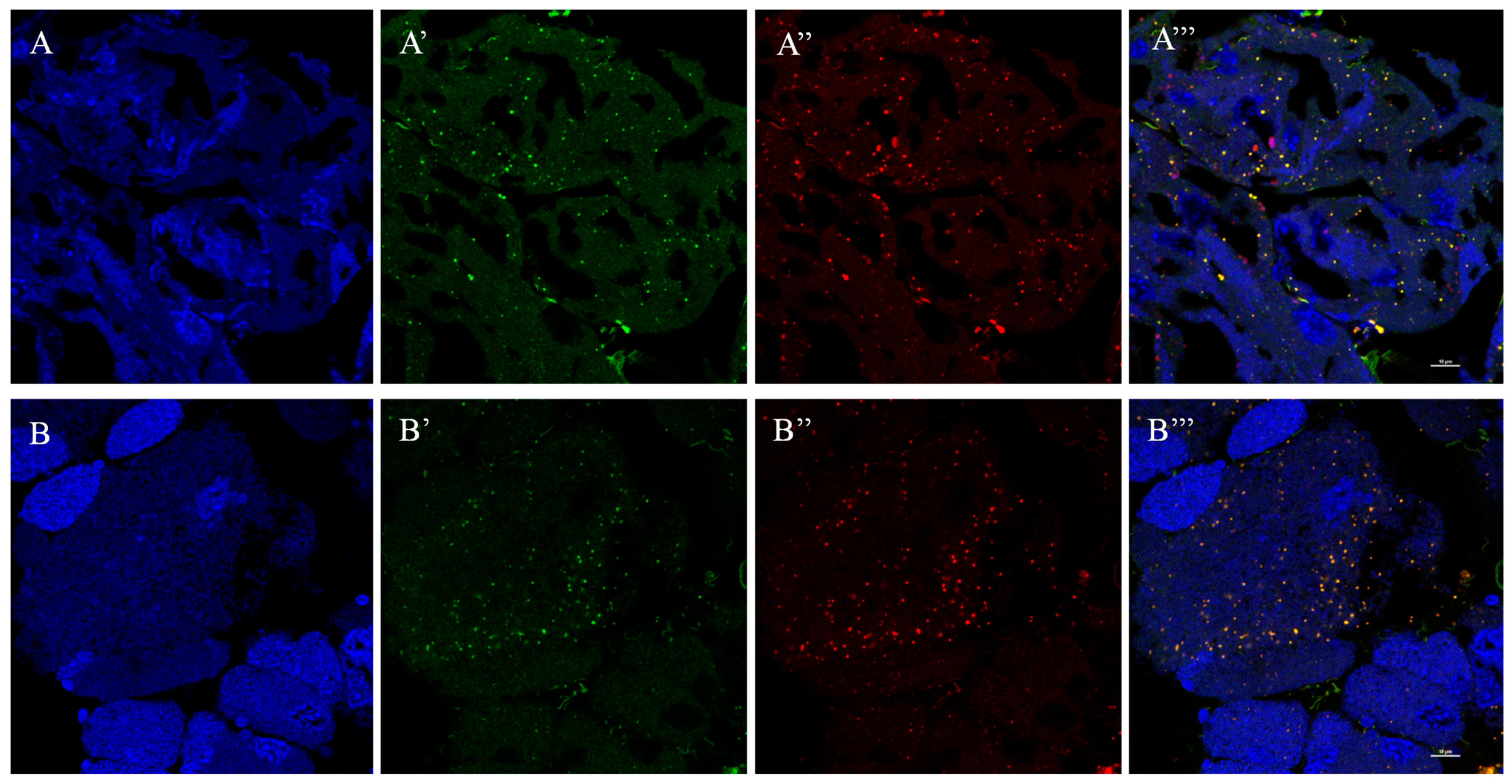 Insects 15 00035 g004