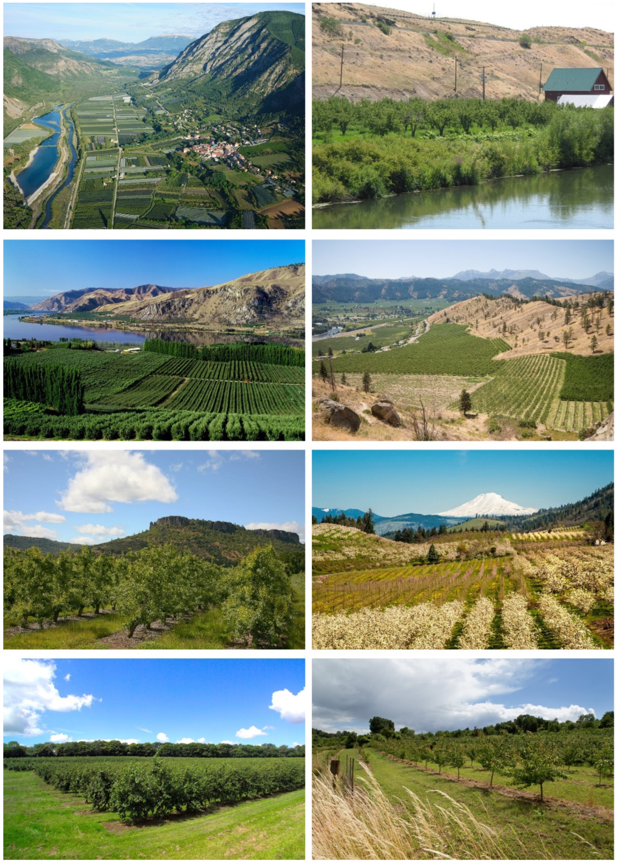 Insects 15 00037 g001 Insects 15 00037 g001