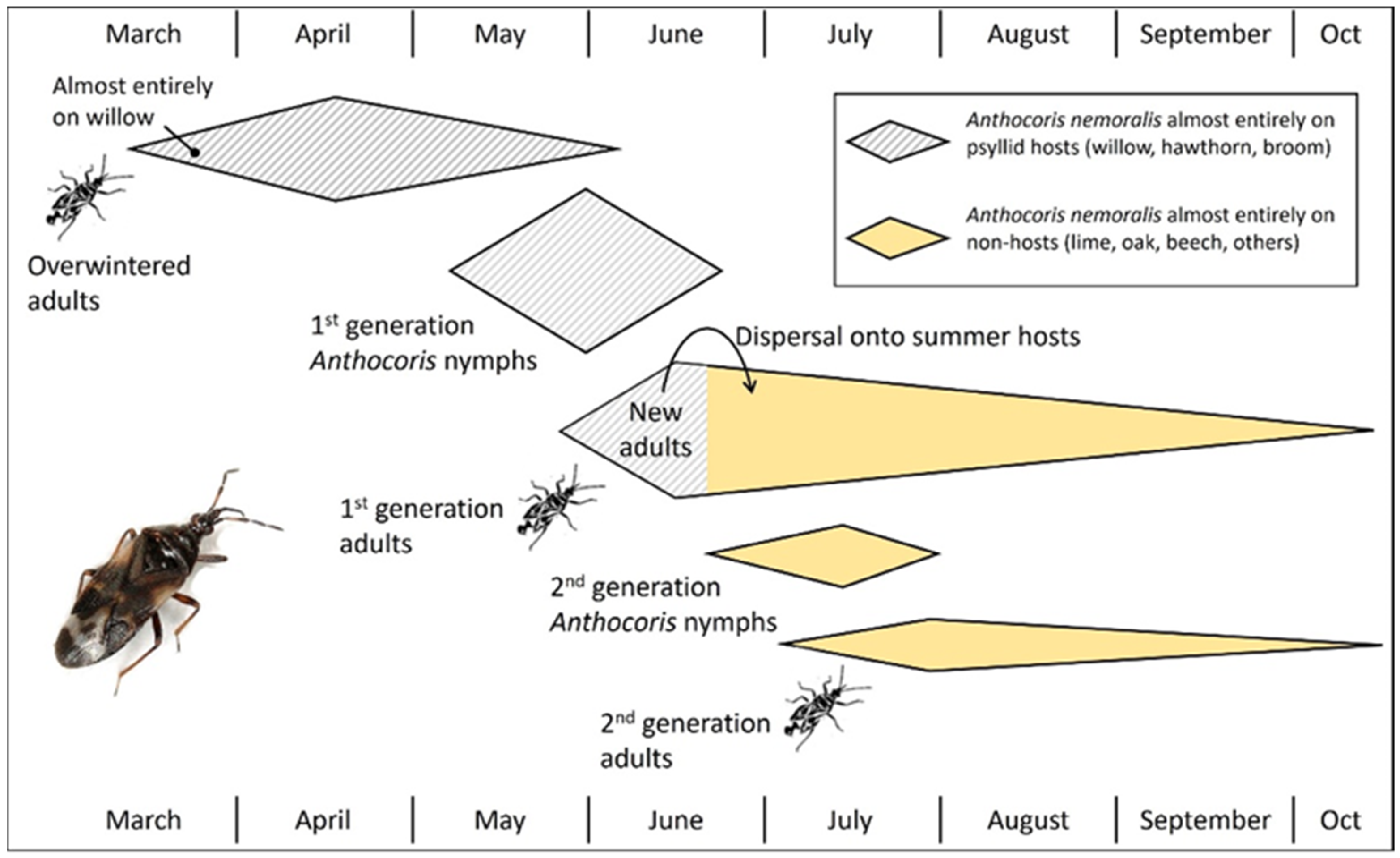Insects 15 00037 g008 Insects 15 00037 g008