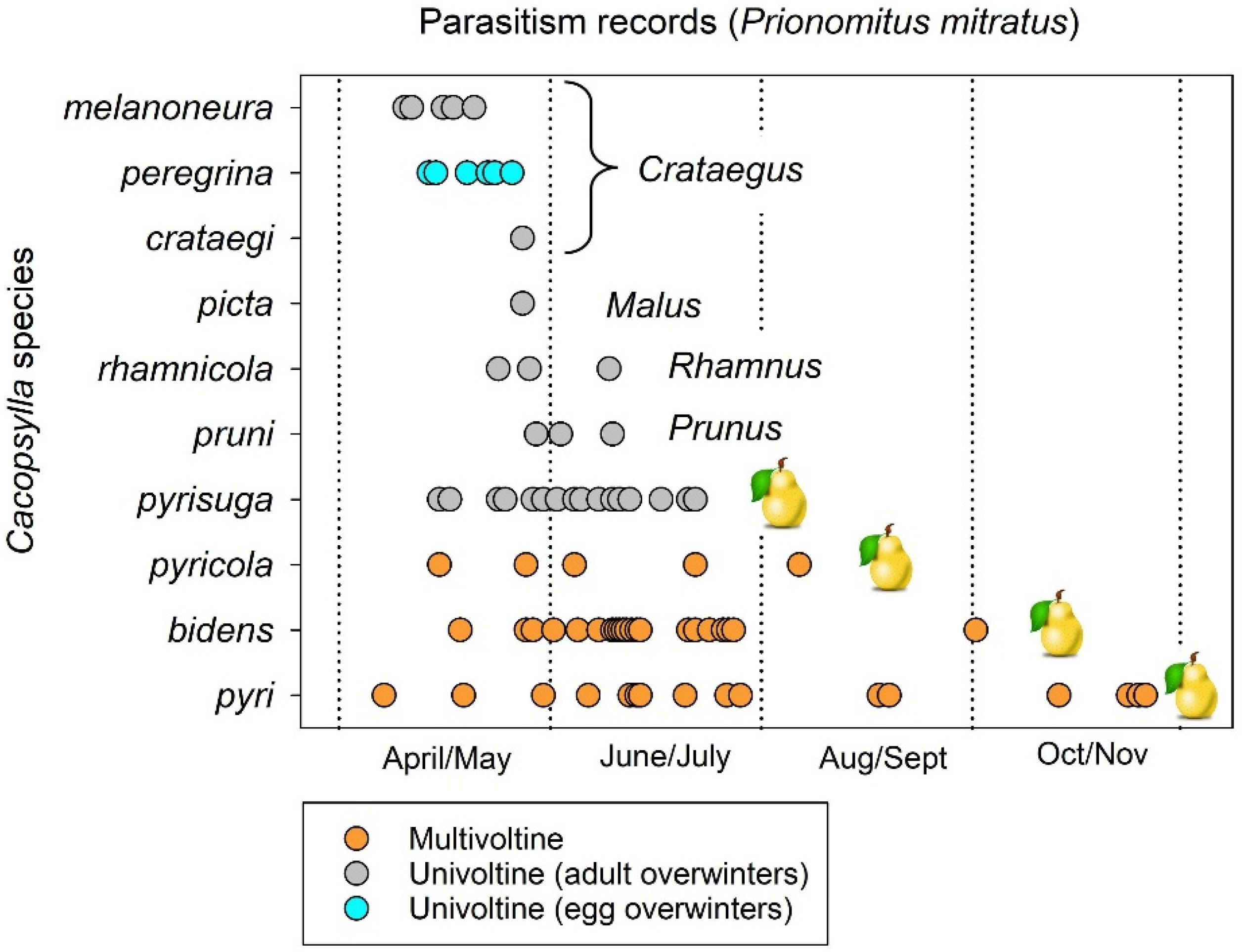 Insects 15 00037 g011 Insects 15 00037 g011