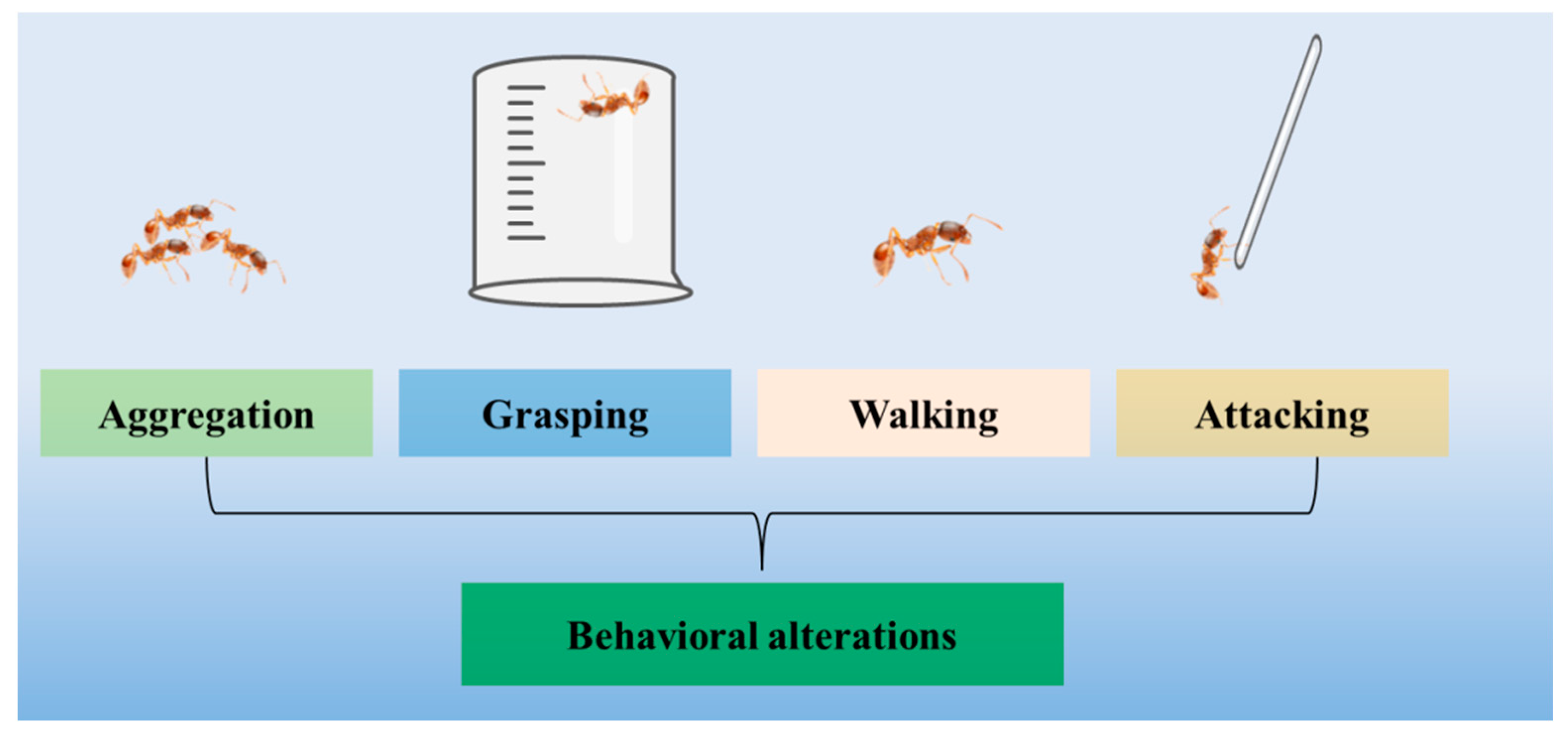 Insects 15 00042 g001