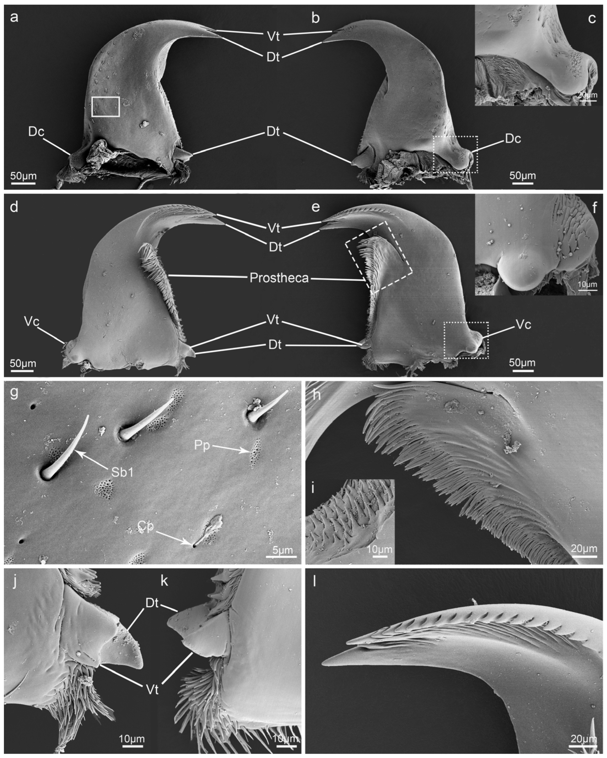 Insects 15 00046 g005