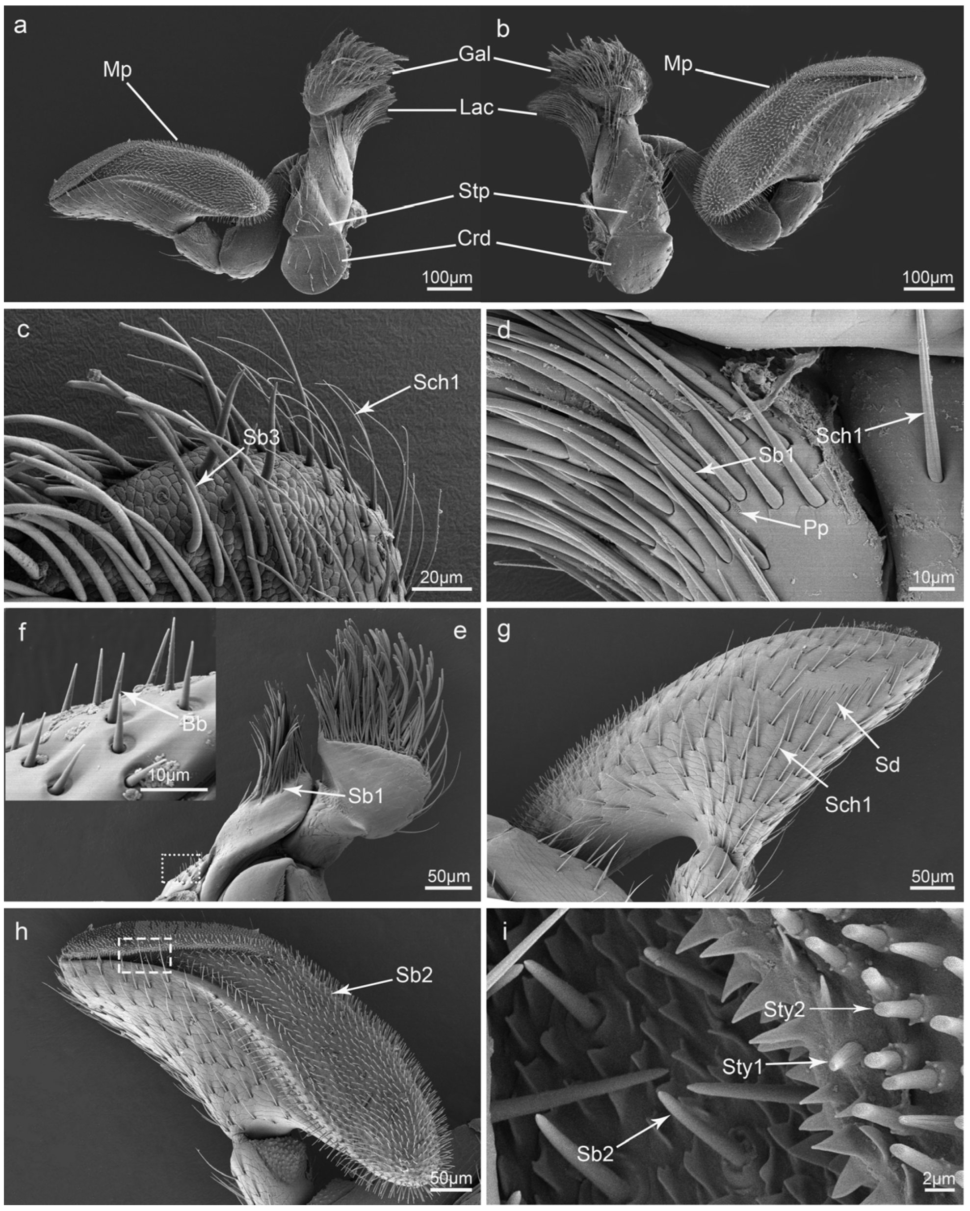 Insects 15 00046 g006