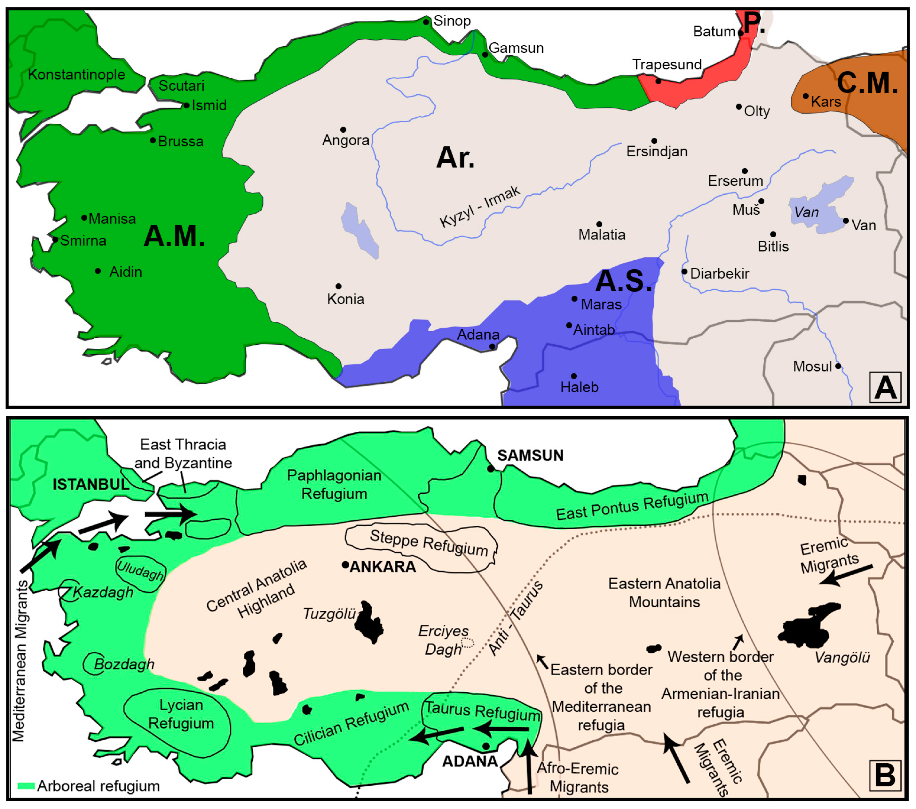 Insects 15 00055 g001