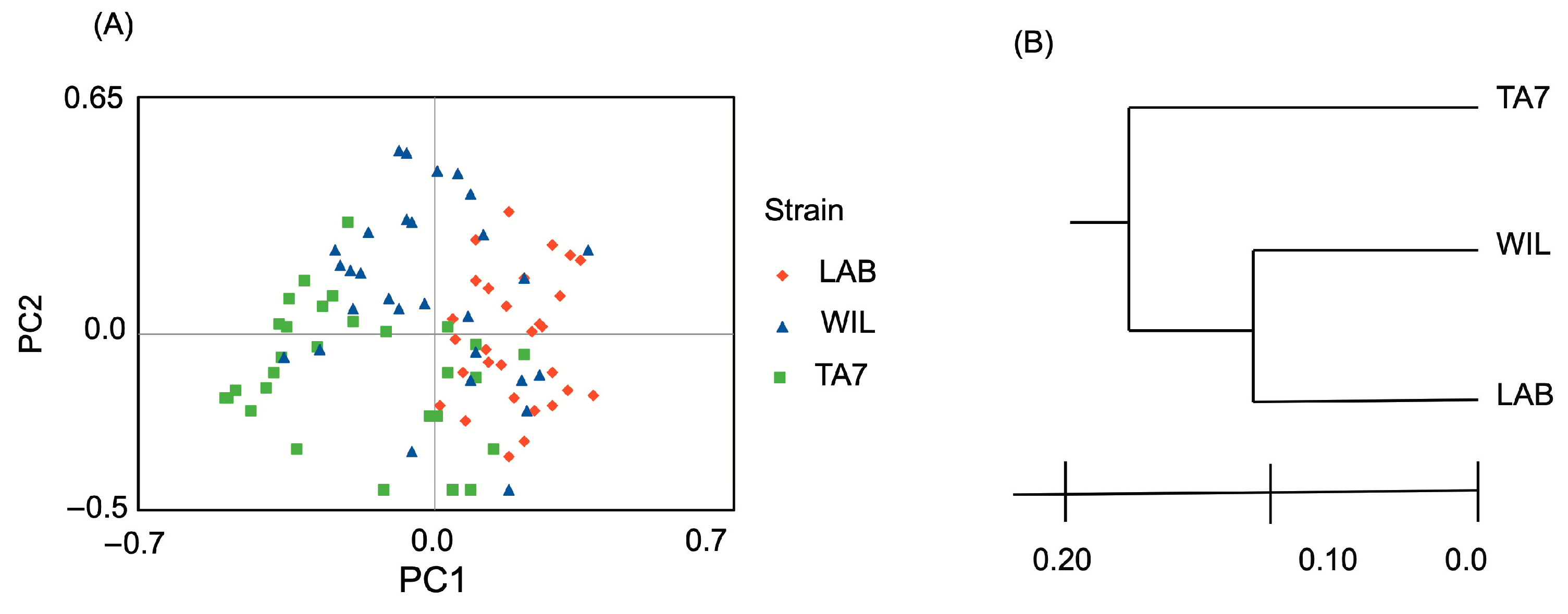 Insects 15 00056 g003