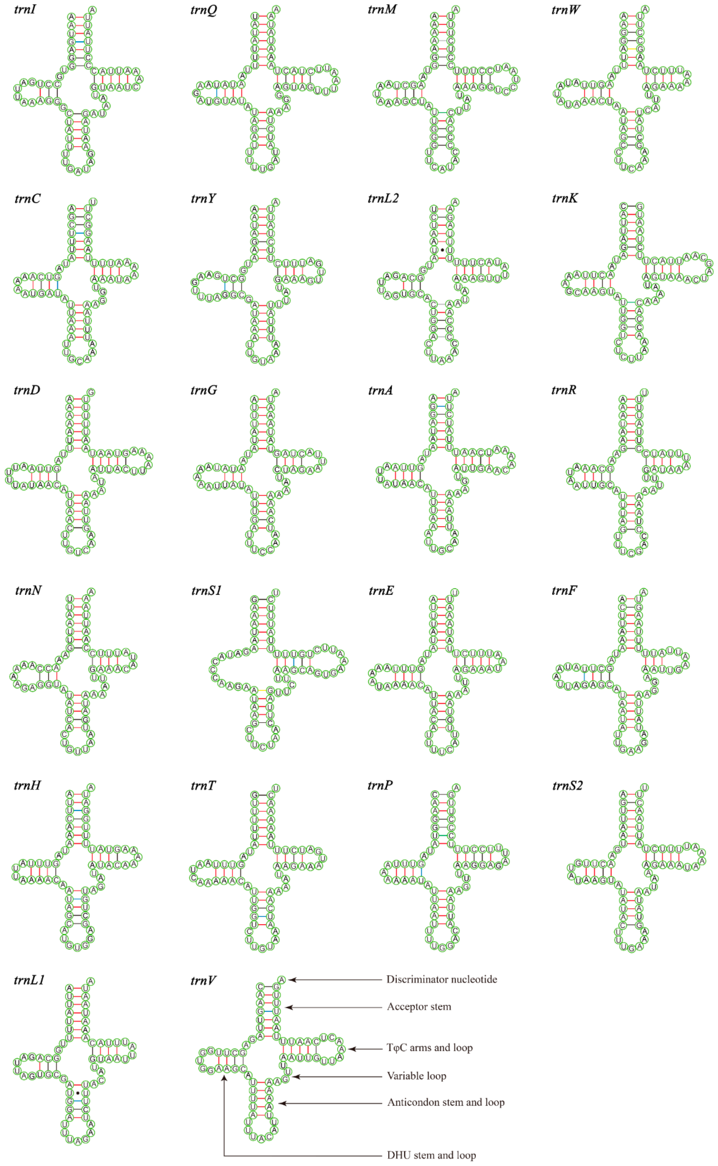 Insects 15 00057 g004 Insects 15 00057 g004